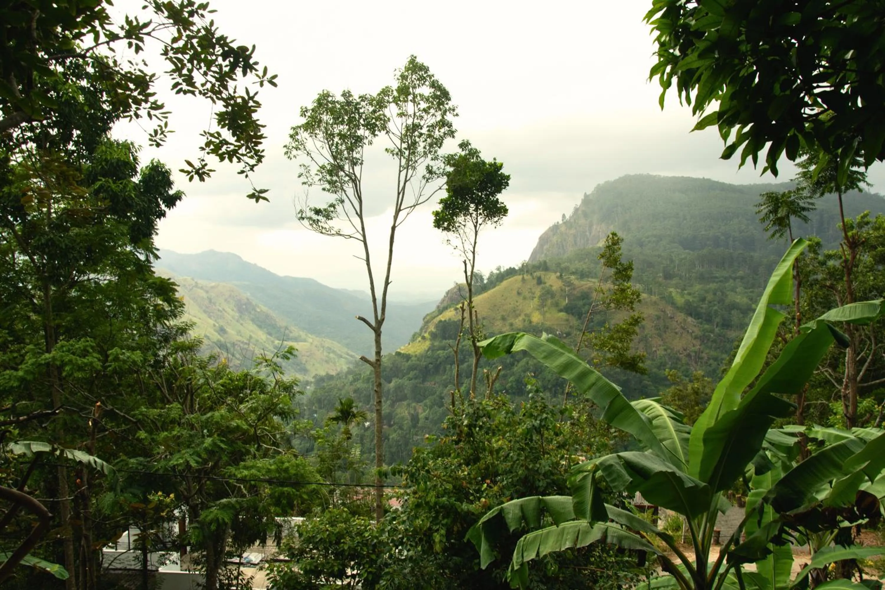 Day in Bliss In Viya