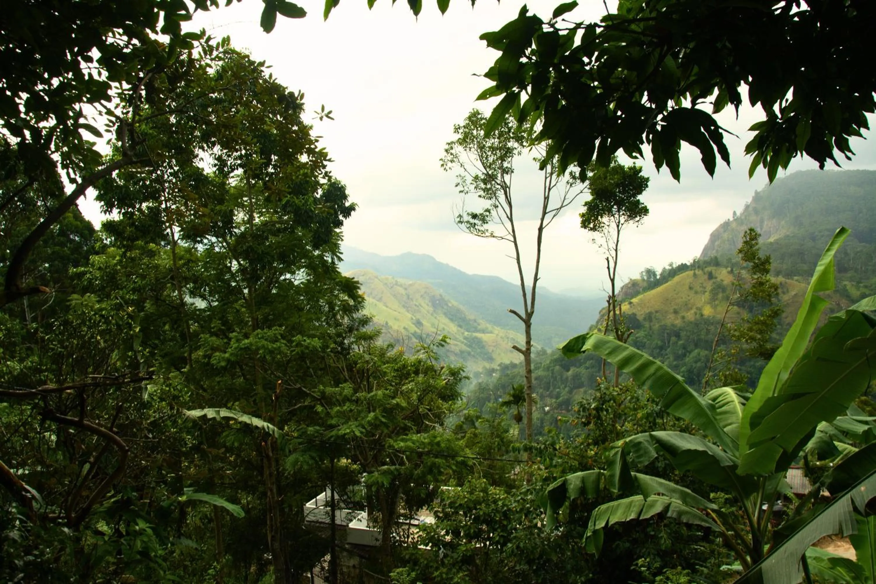 Nearby landmark in Bliss In Viya