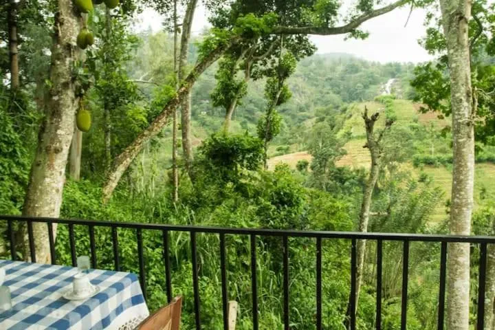 Mars Wonderland View