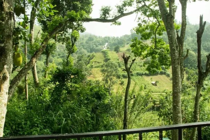 Mars Wonderland View