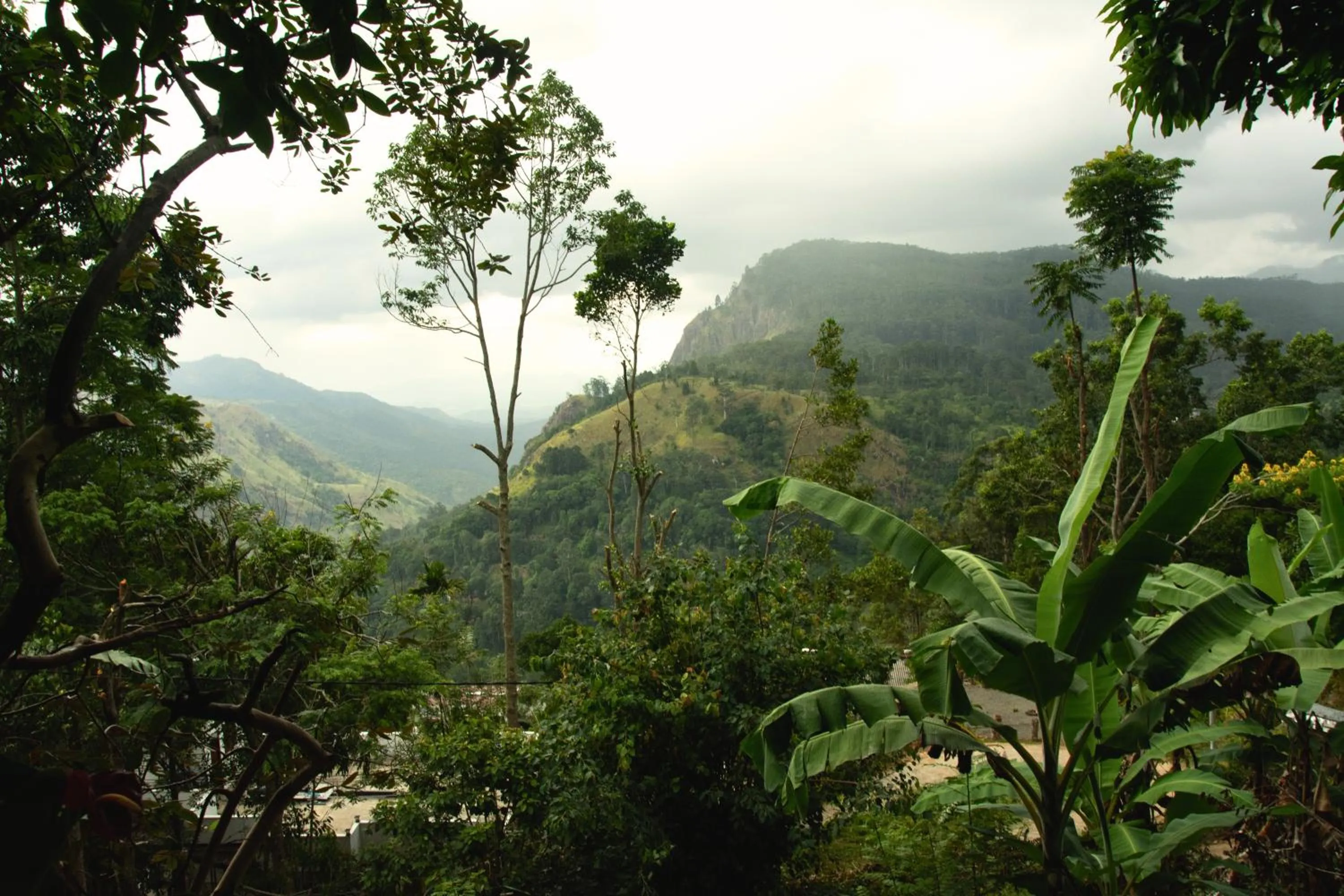 Natural landscape in Bliss In Viya