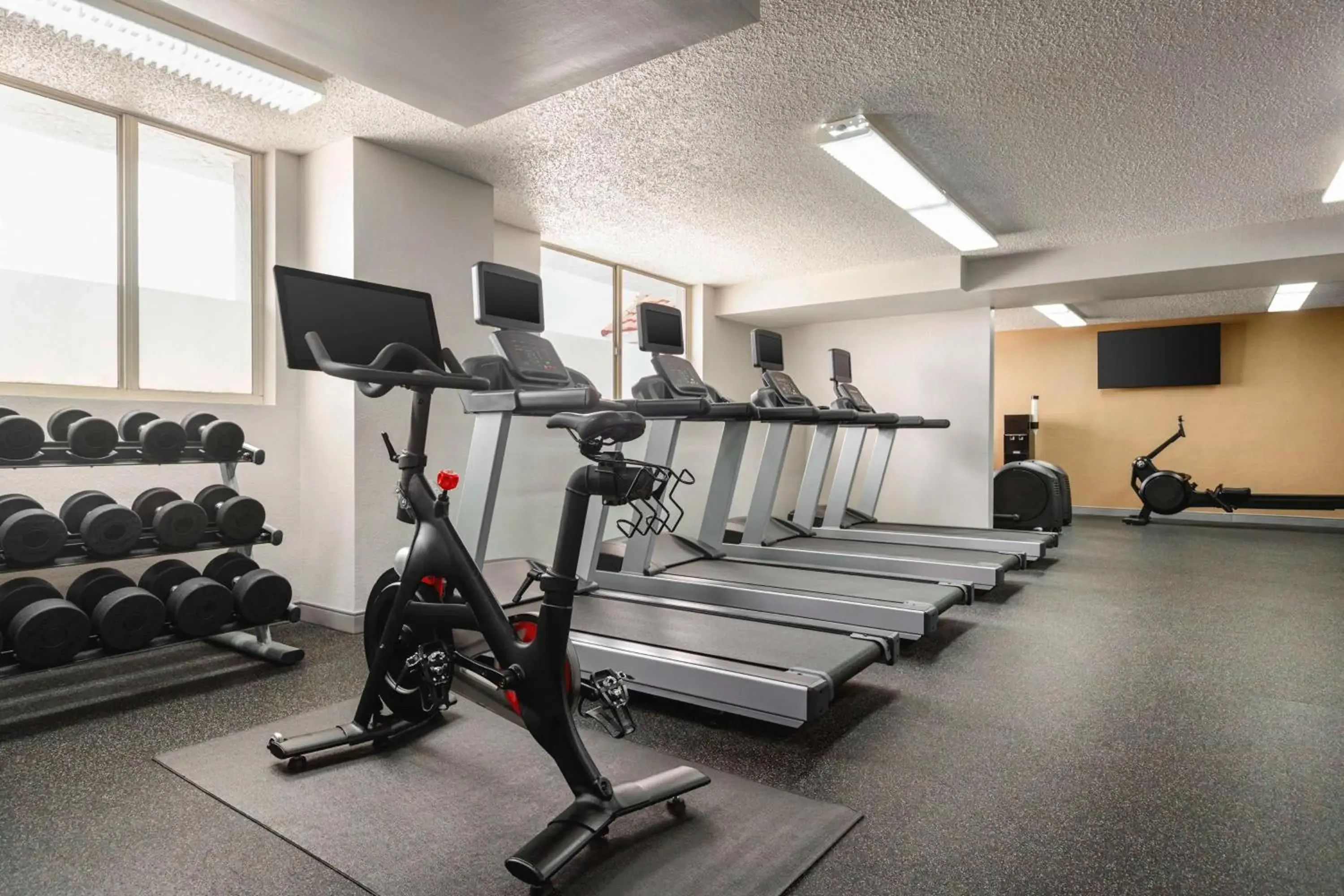 Fitness centre/facilities in Embassy Suites by Hilton Fort Lauderdale 17th Street Fitness centre/facilities in Embassy Suites by Hilton Fort Lauderdale 17th Street