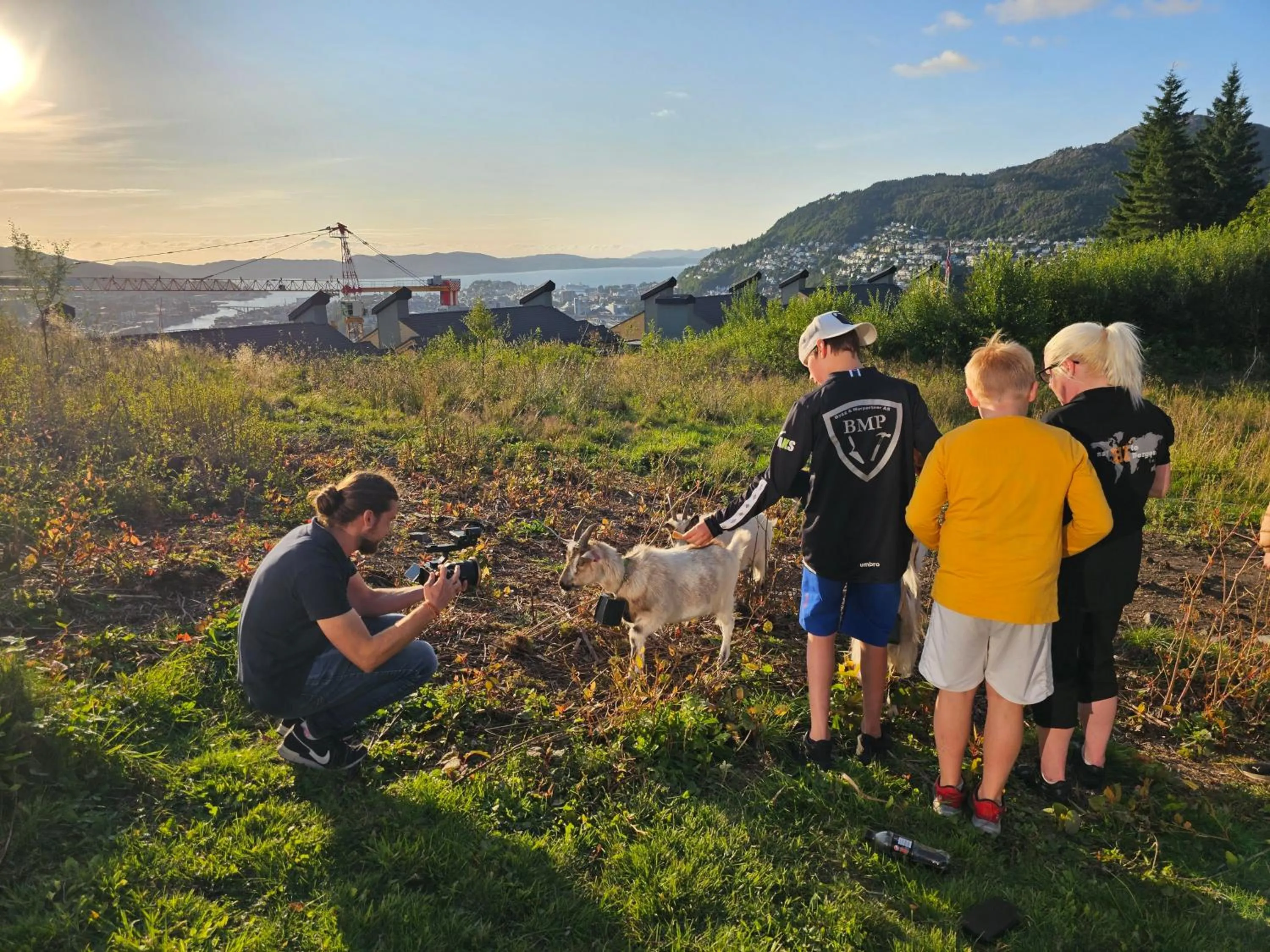 Garden in Bergen Hostel Montana