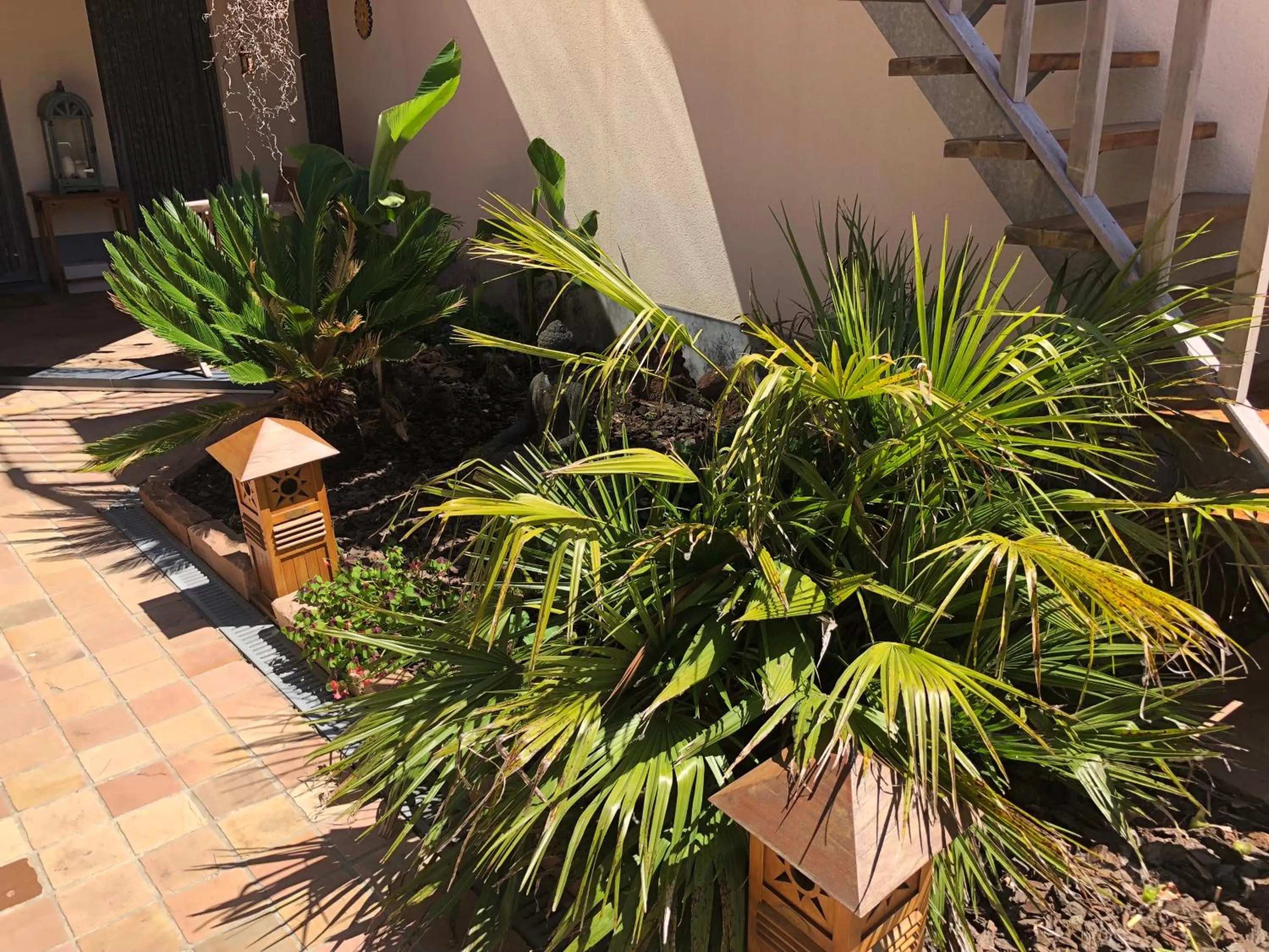 Garden in B&B Kudita