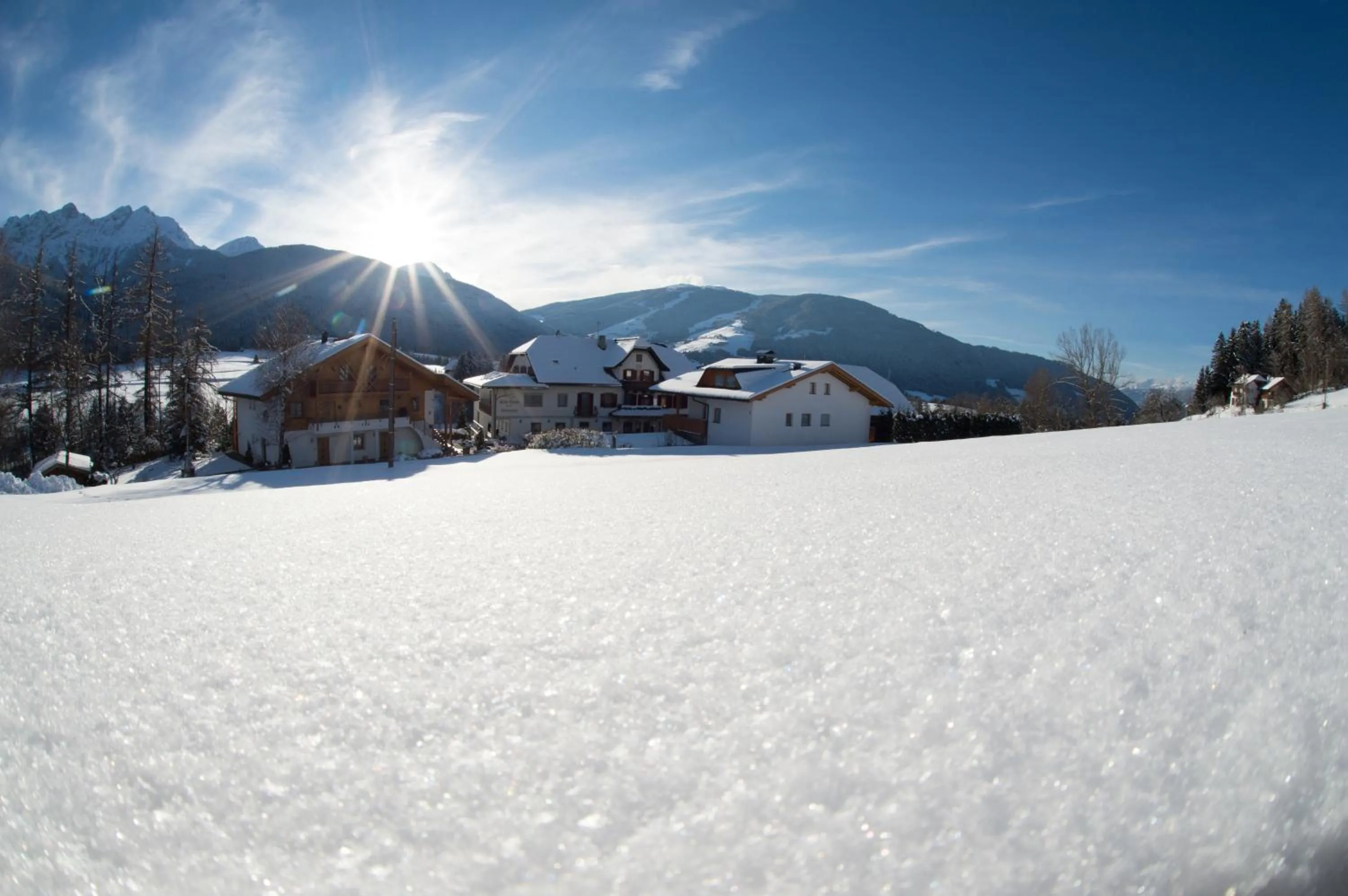 Facade/entrance in Historic Hotel Alte Goste