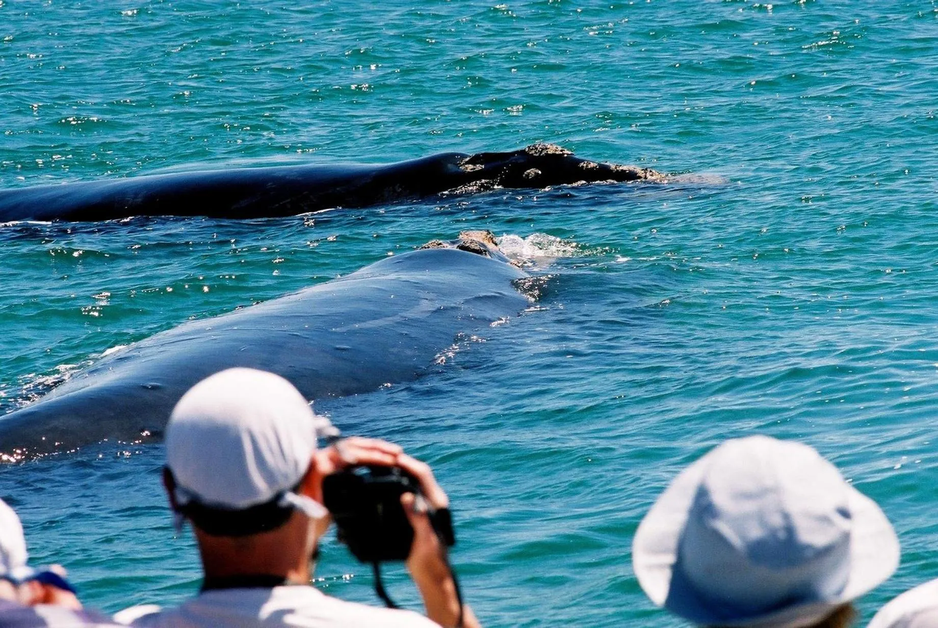 Off site in The Whale on Main B&B