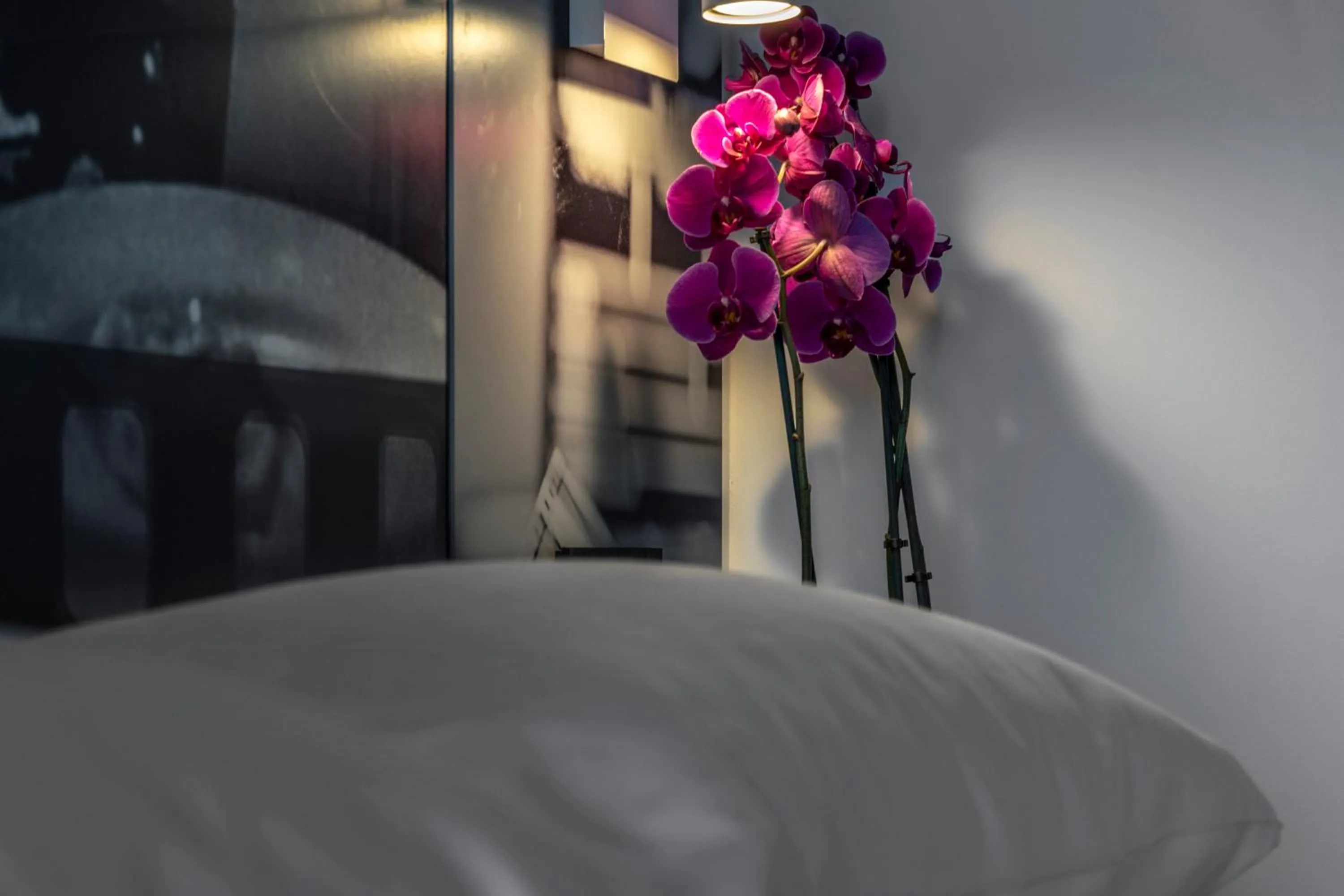 Bed in Residence Filmare