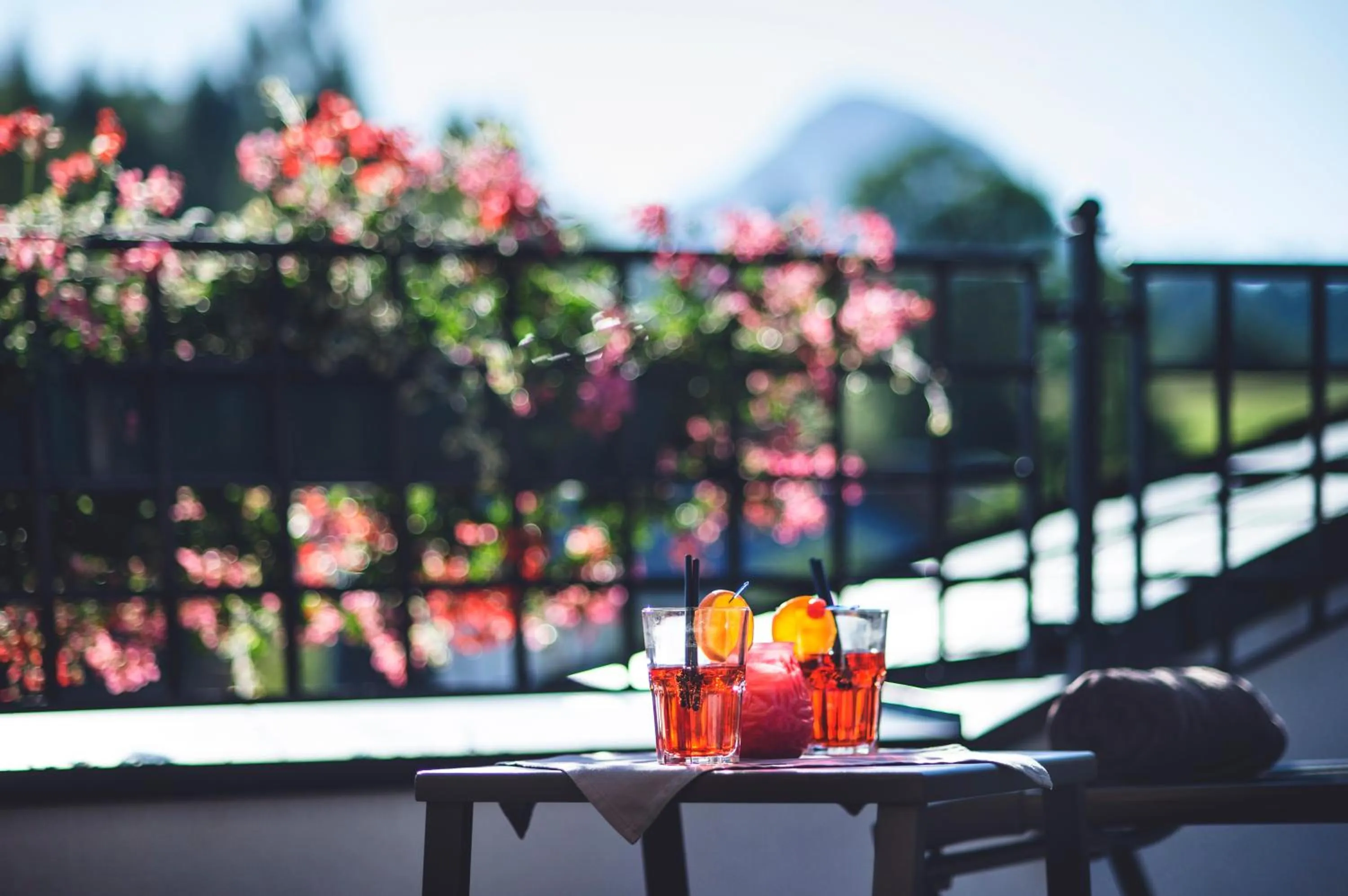Balcony/Terrace in Hotel Haymon