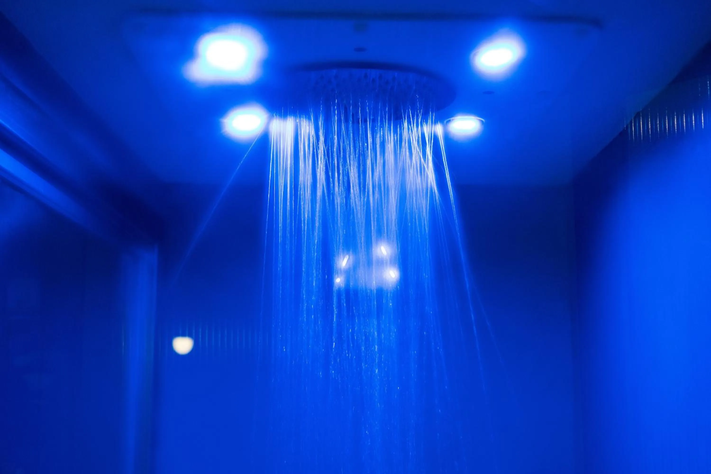 Toilet in Artemisia Domus - Centro Storico