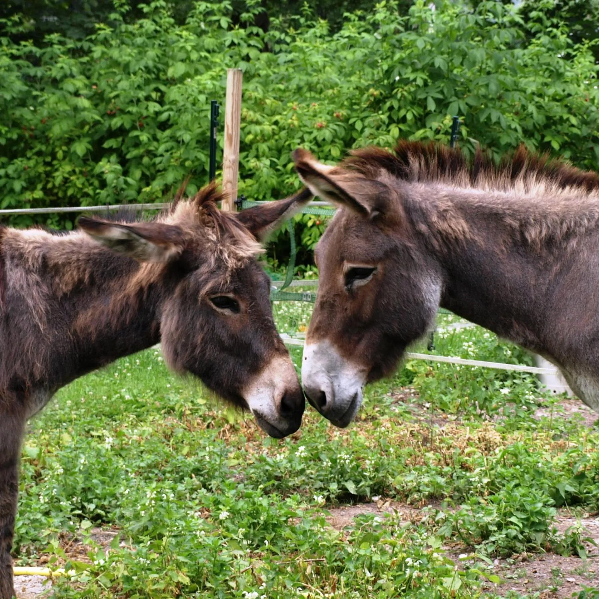 Les Rives de l'Andelle