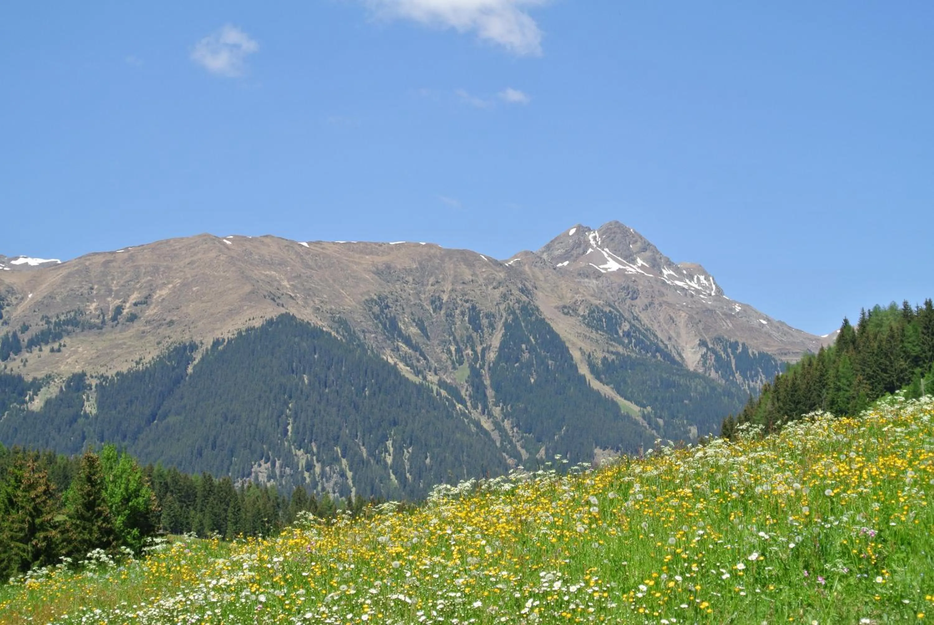 Area and facilities in Hotel Feldrand