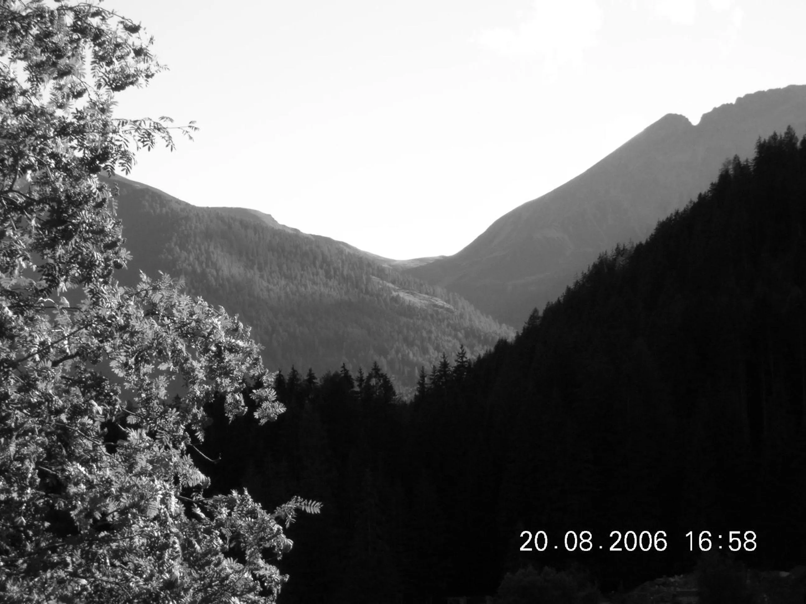 Area and facilities in Hotel Feldrand