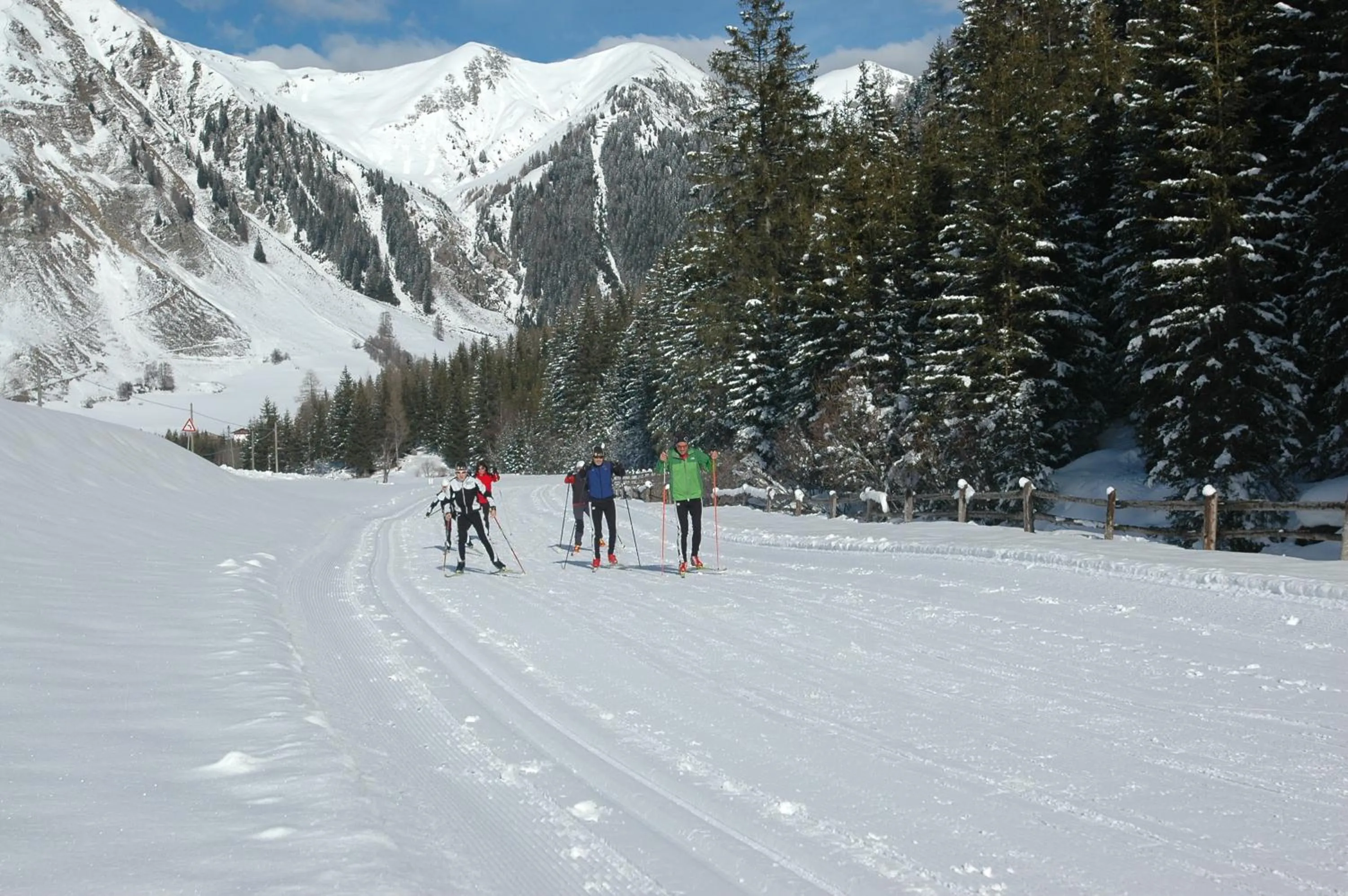 Natural landscape in Hotel Feldrand