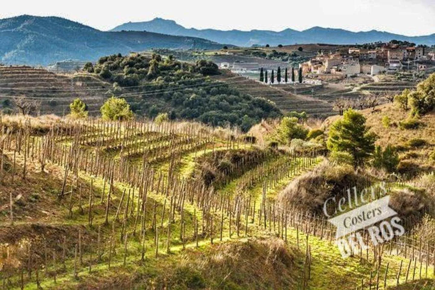 Ca l'Aixut Turismo Rural