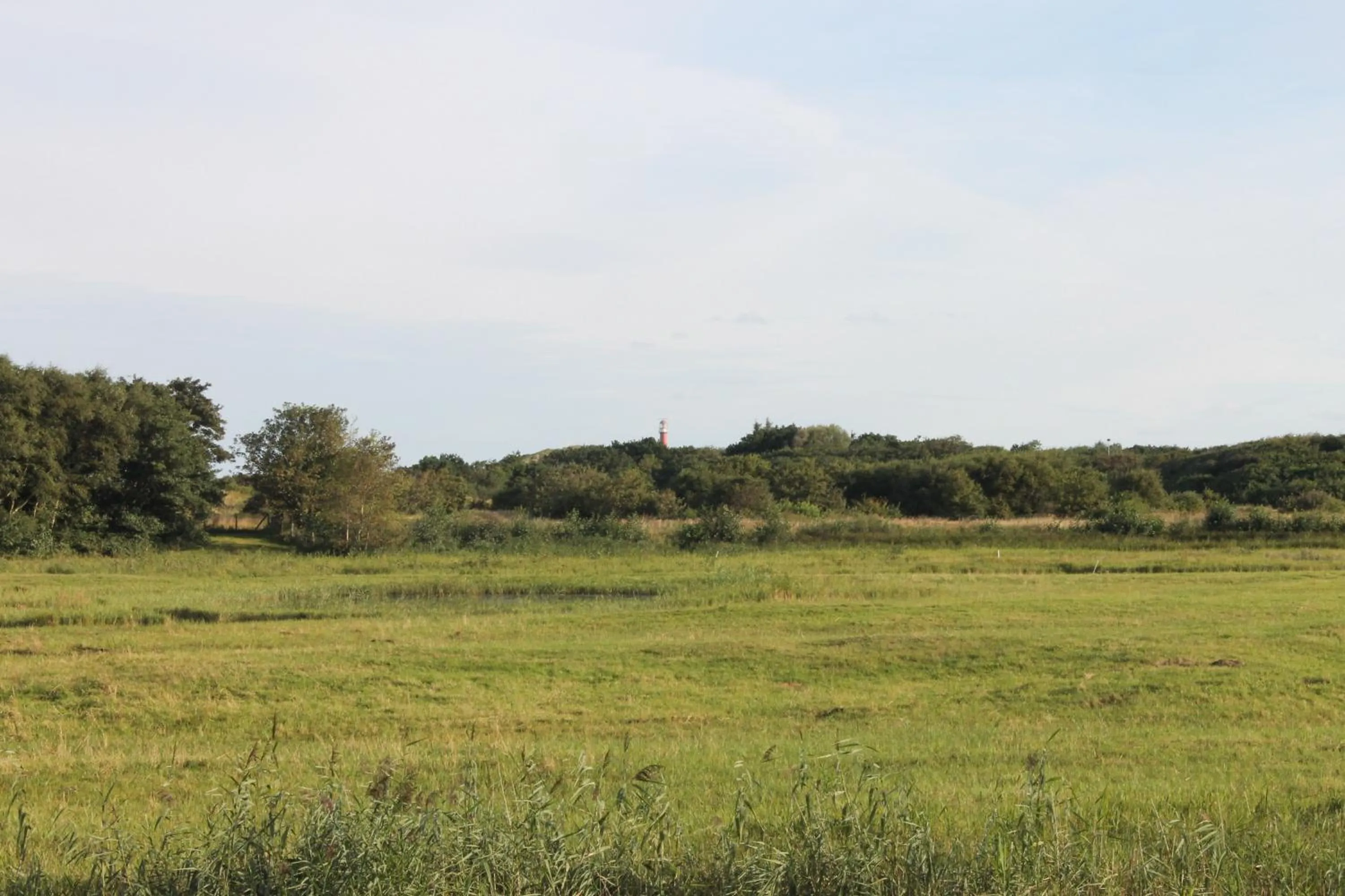 Area and facilities in Hotel Studio Bosch Duin Strand