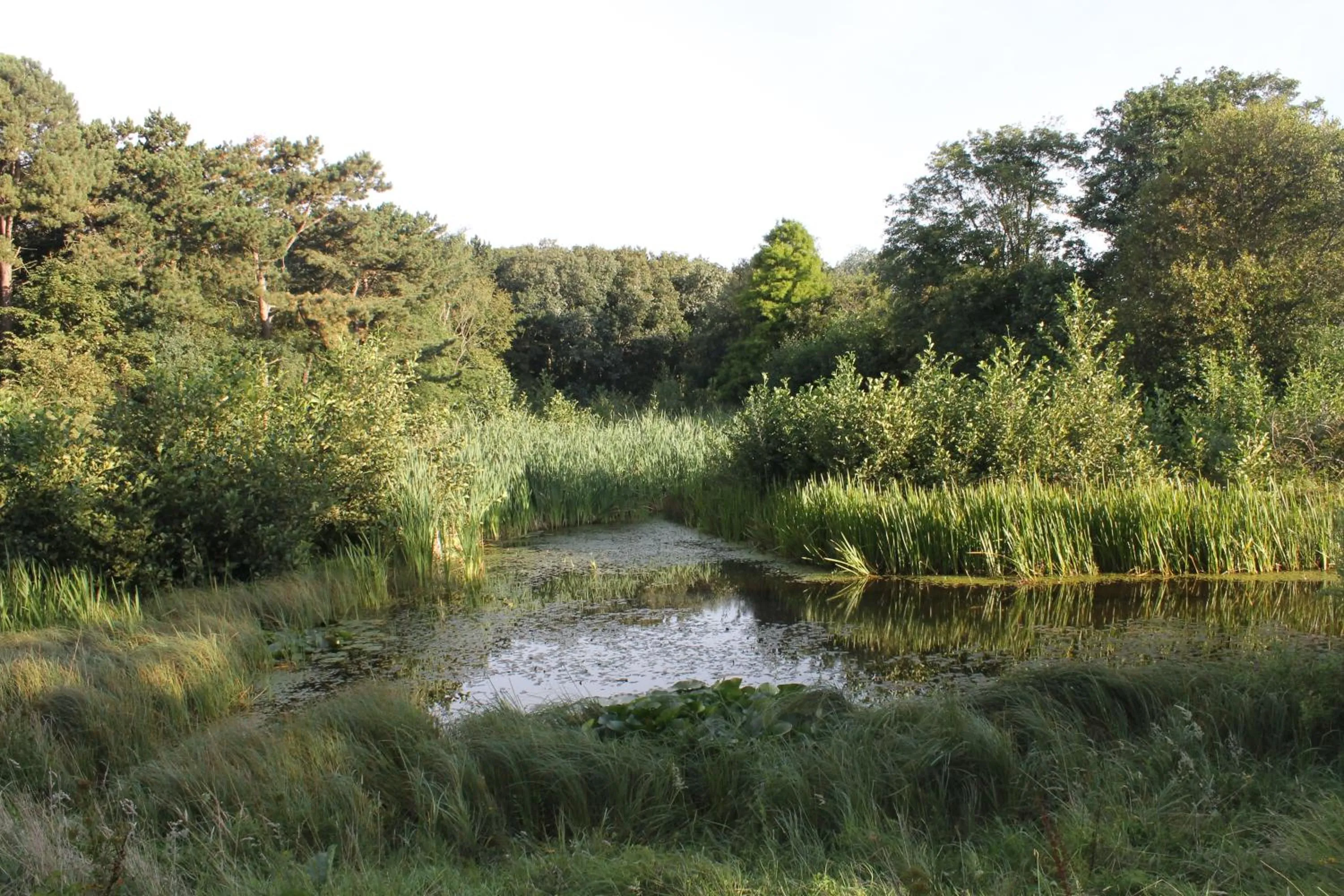 Area and facilities in Hotel Studio Bosch Duin Strand