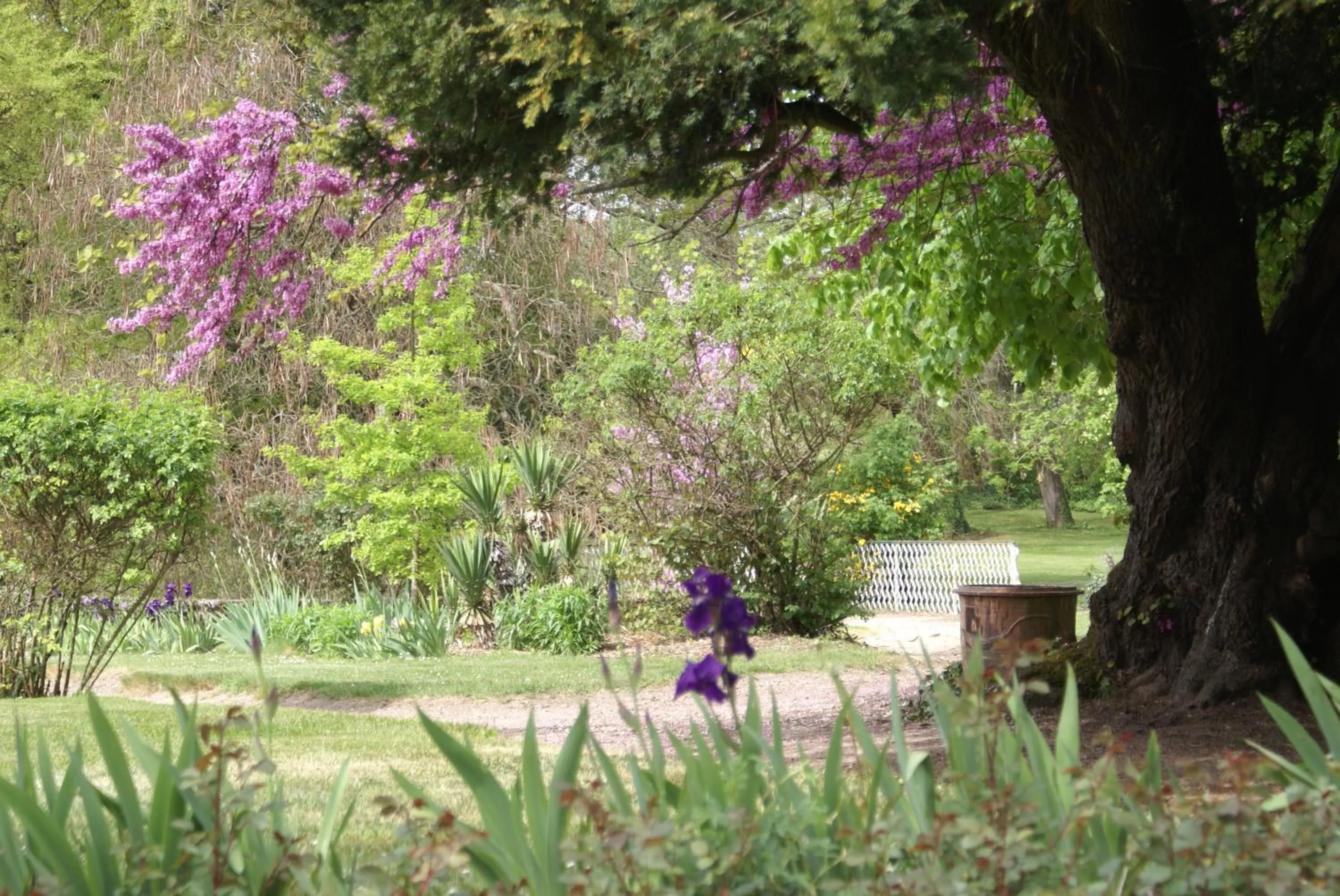 Garden view in Le Béguinage