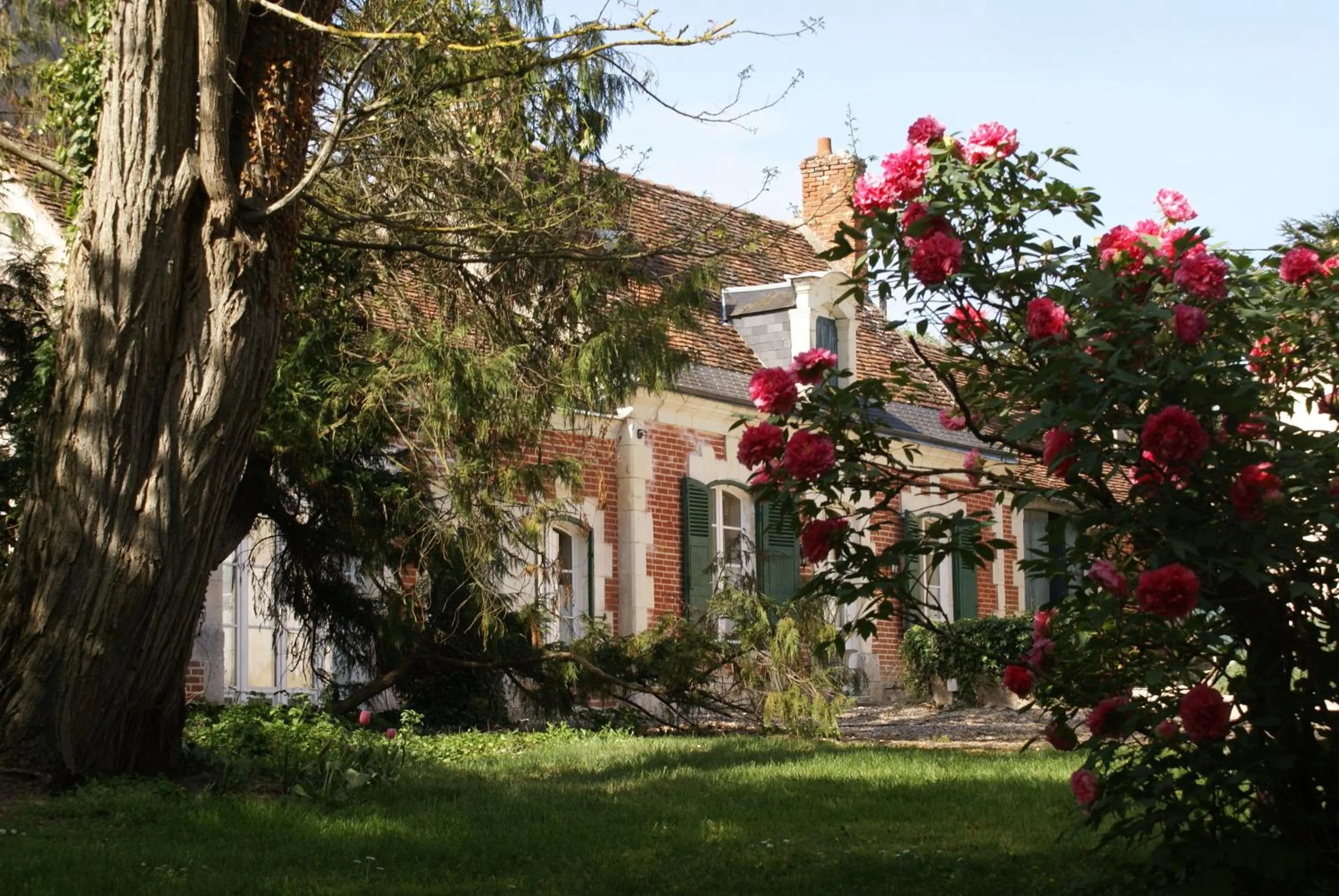 Garden view in Le Béguinage