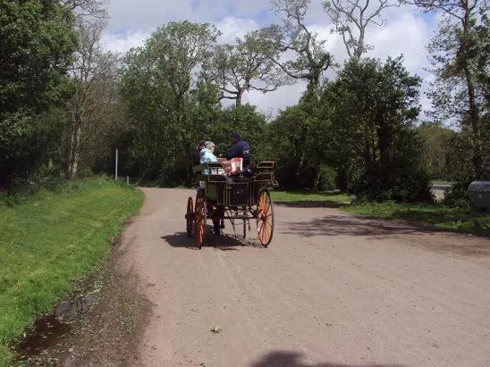 Day in Ryebrook House