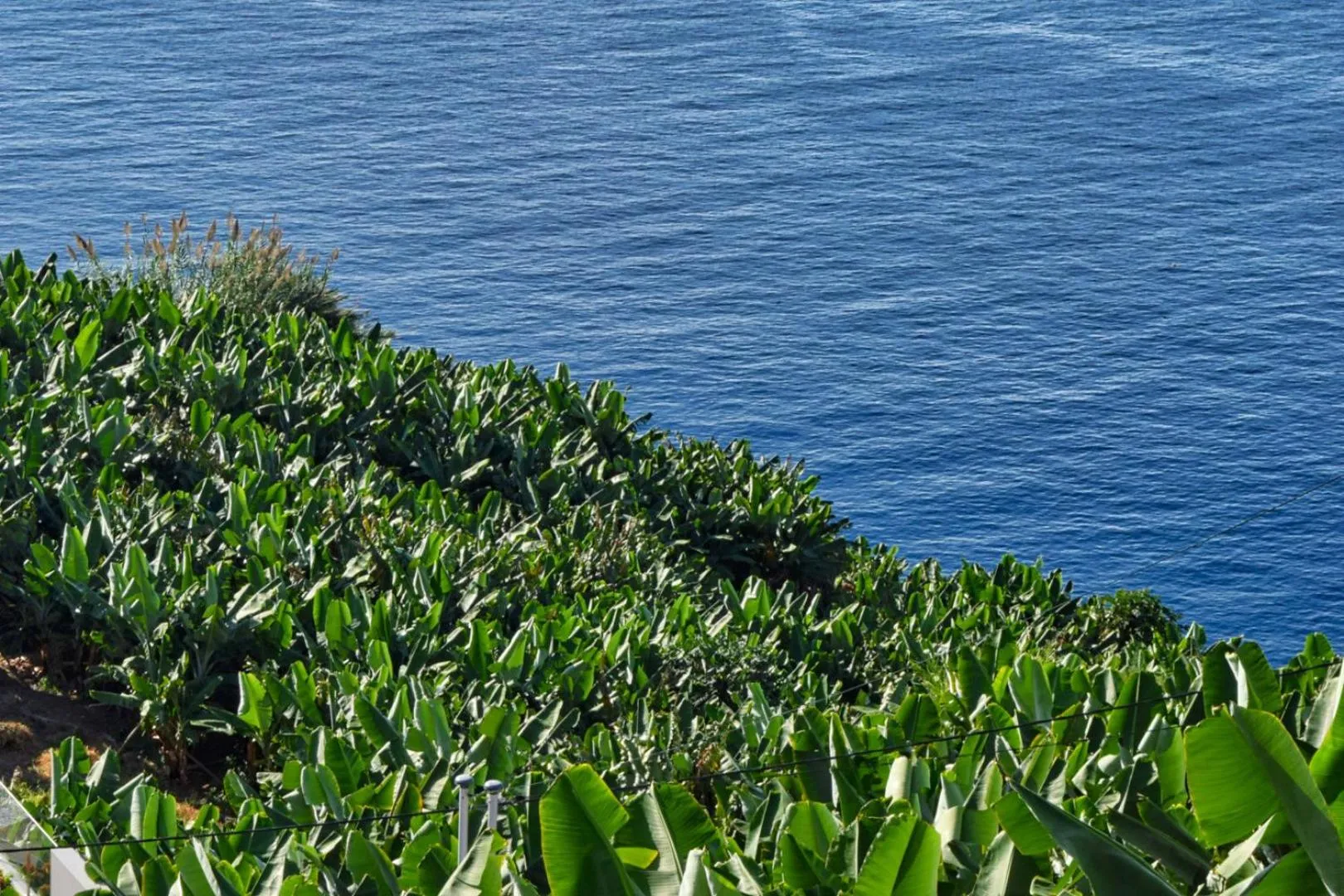 View (from property/room) in Vista Mar, a Home in Madeira