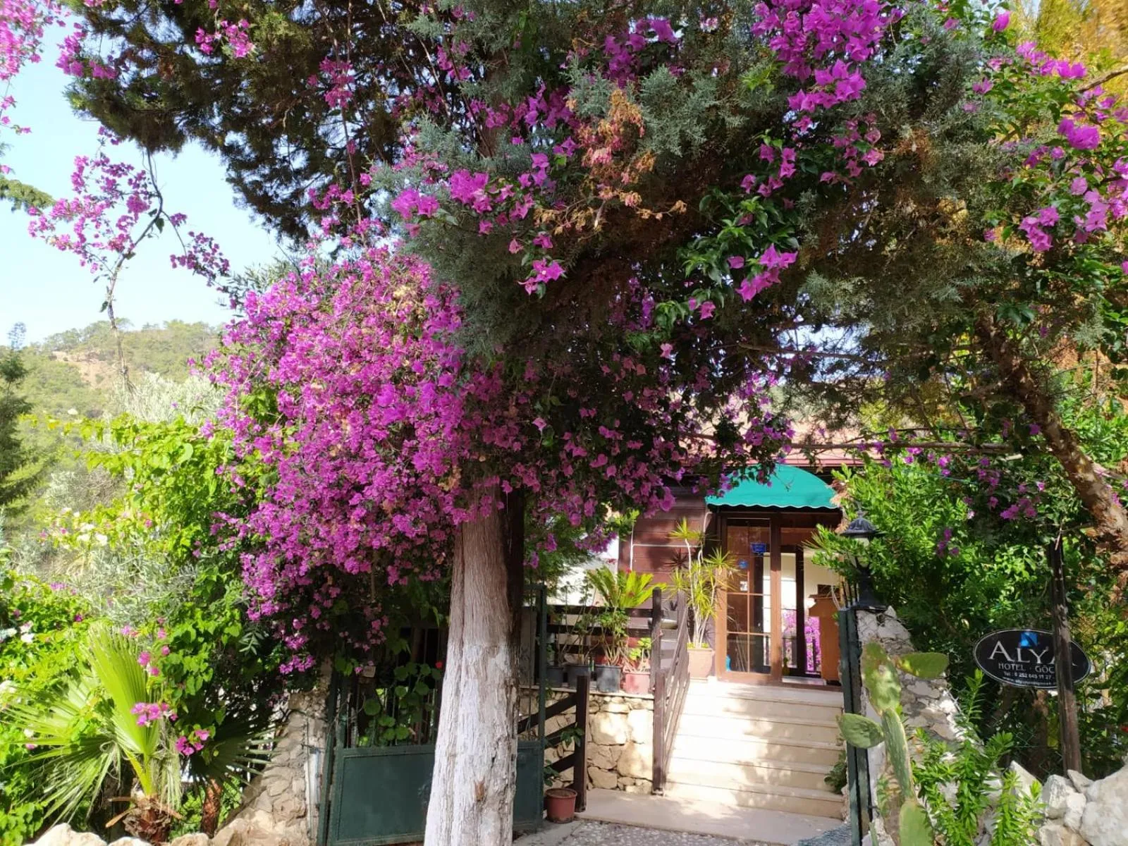 Facade/entrance in Alya Hotel Göcek