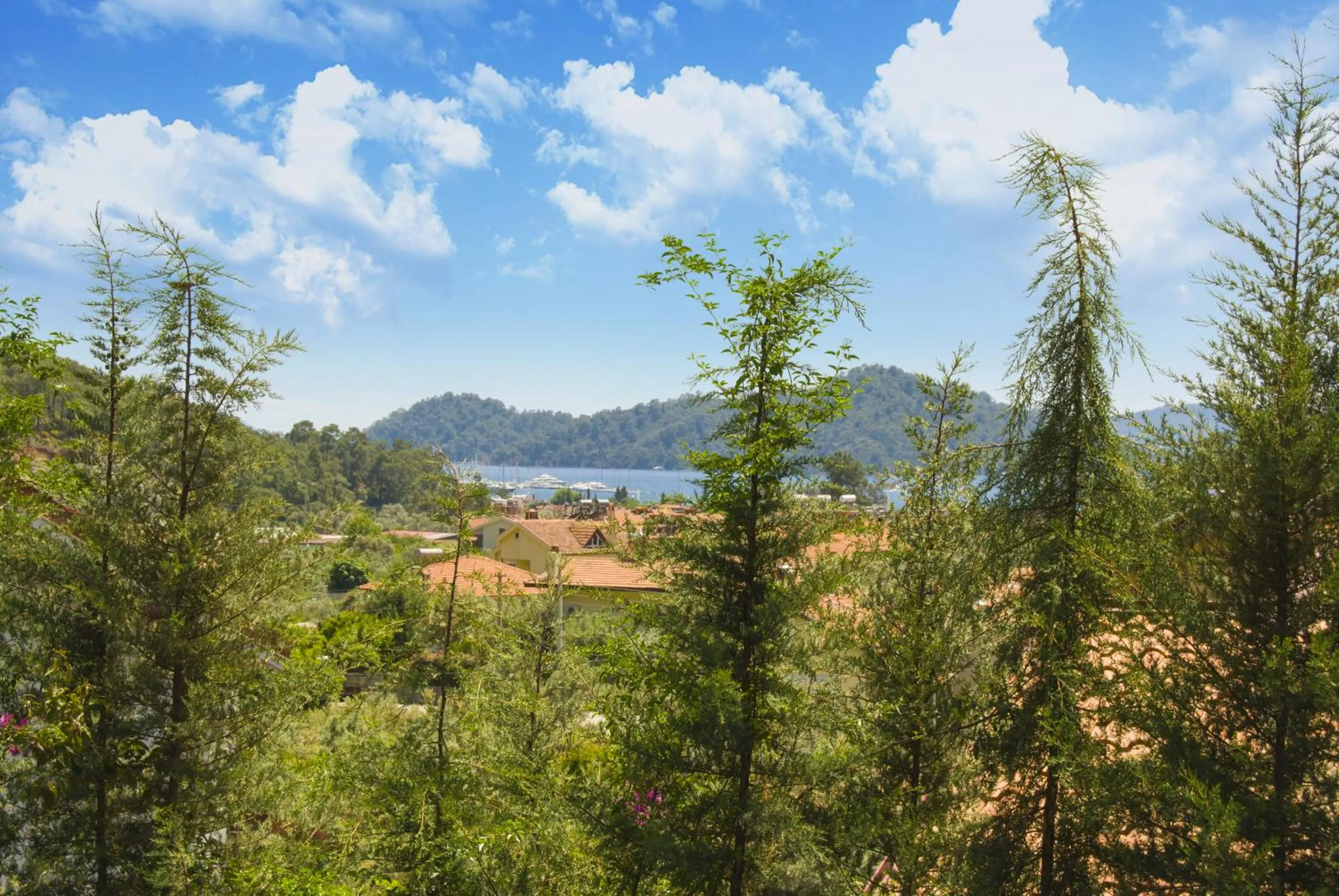Garden view in Alya Hotel Göcek