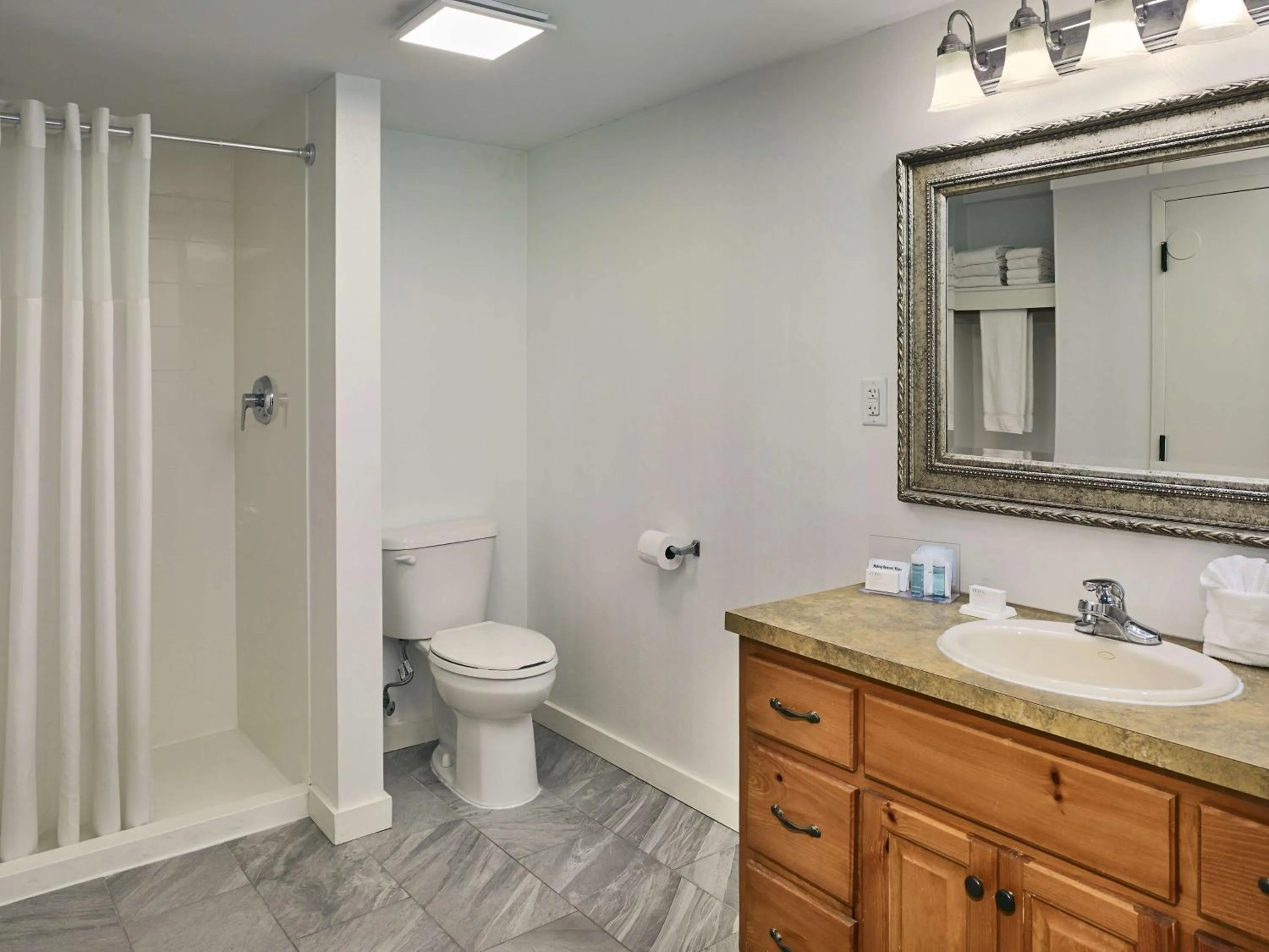 Bathroom in Hampton Inn Gatlinburg