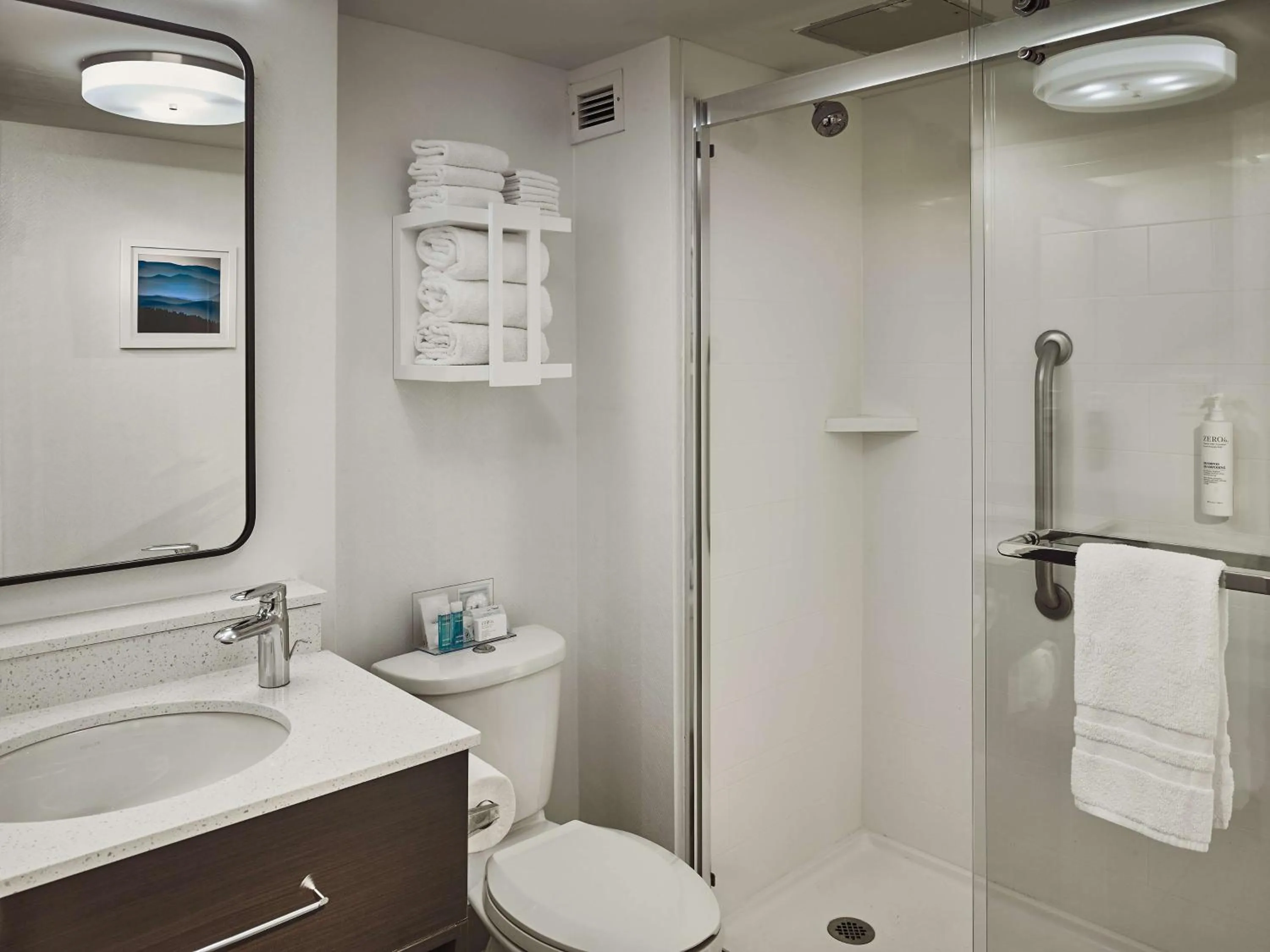 Bathroom in Hampton Inn Gatlinburg