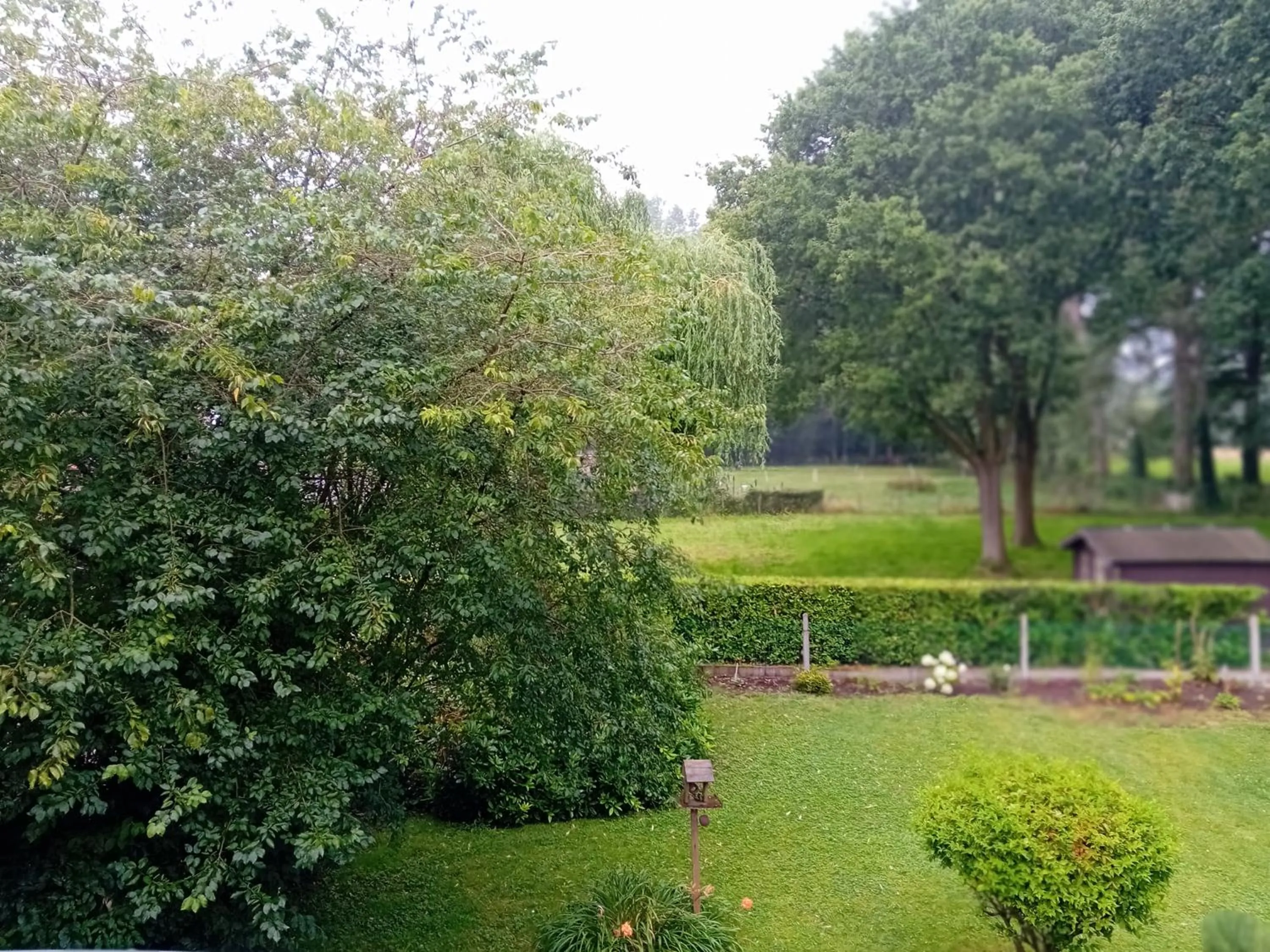 Garden in B&B Roseland