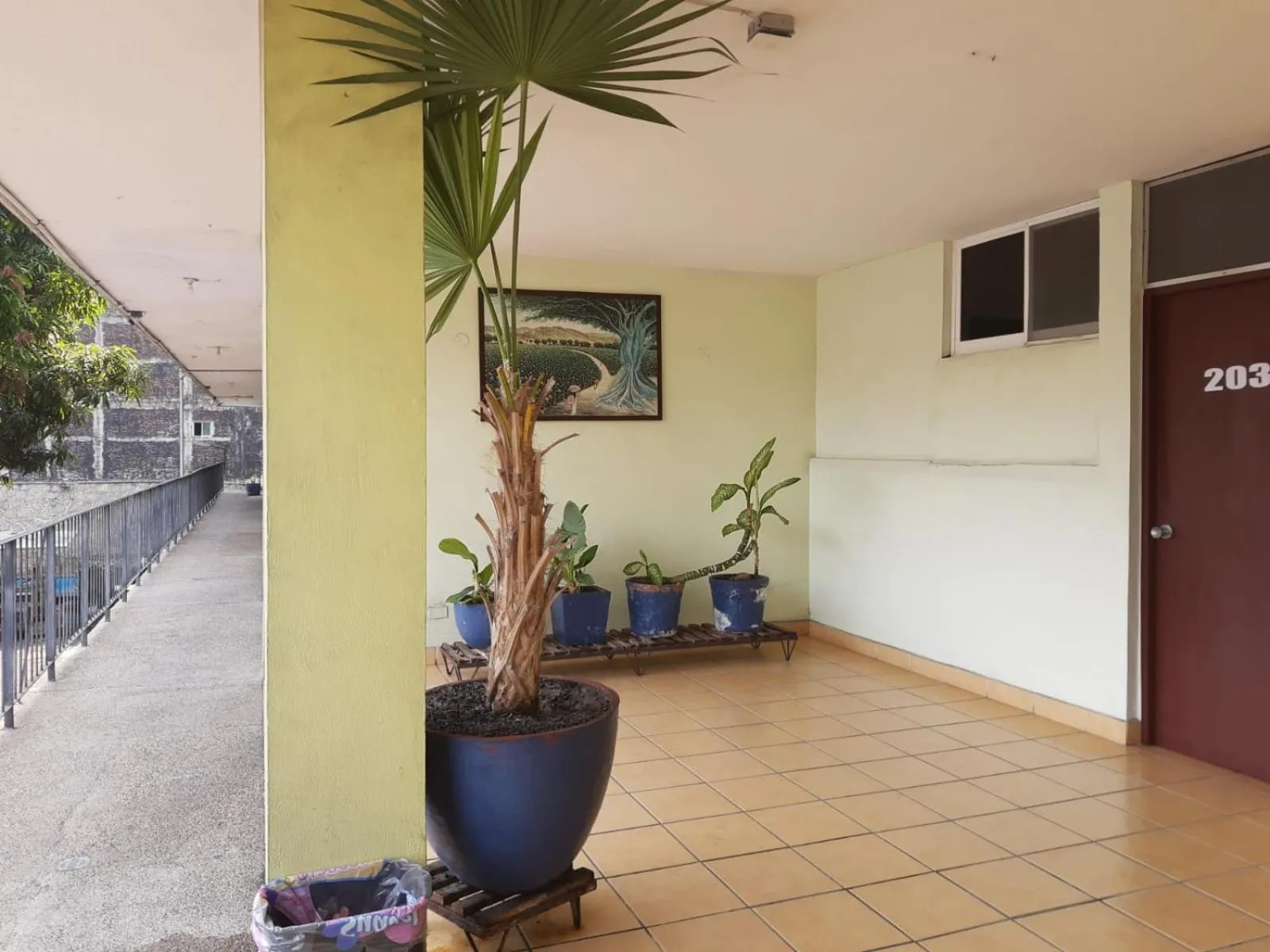 Property building in Hotel Avenida