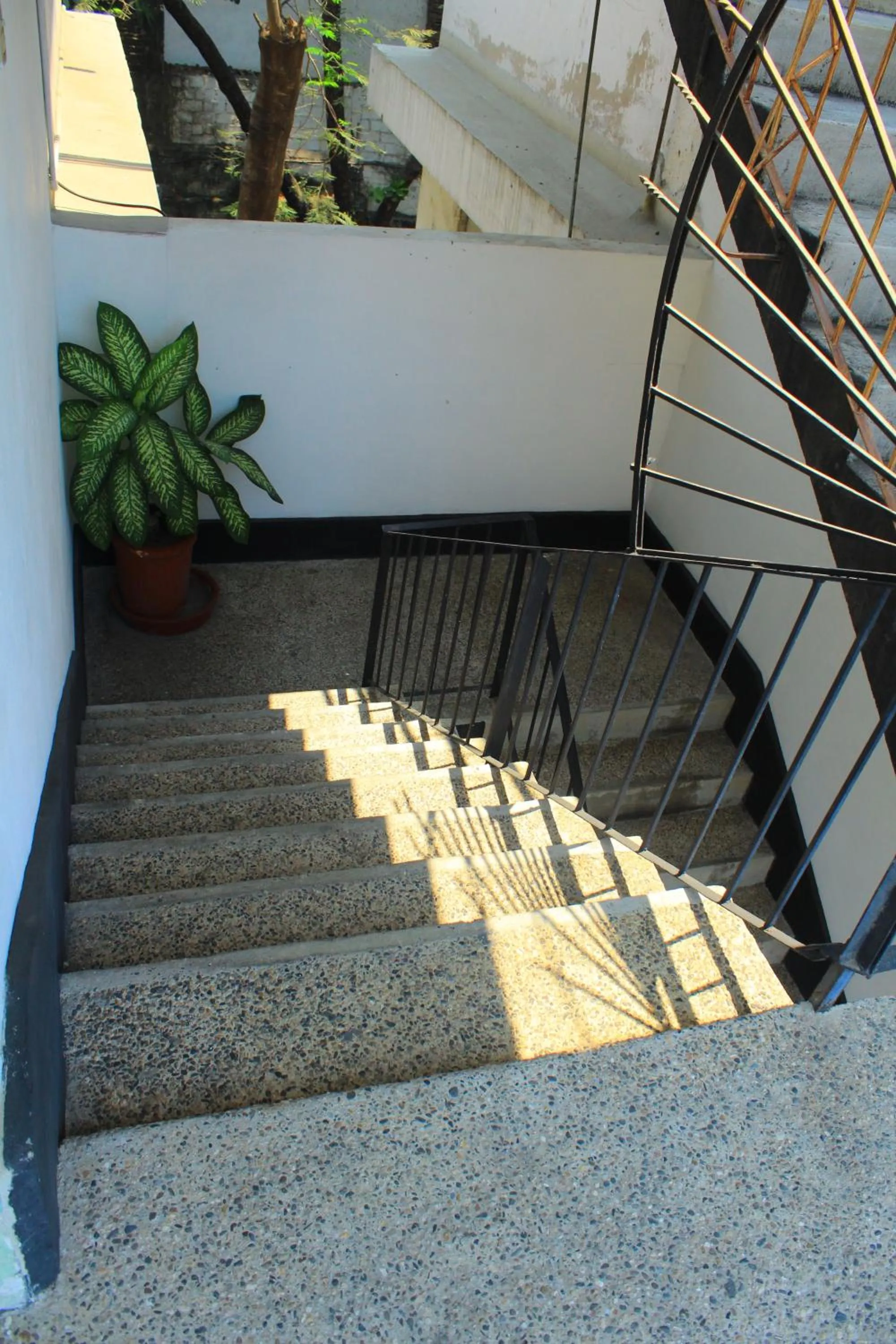 Day in Hotel Avenida