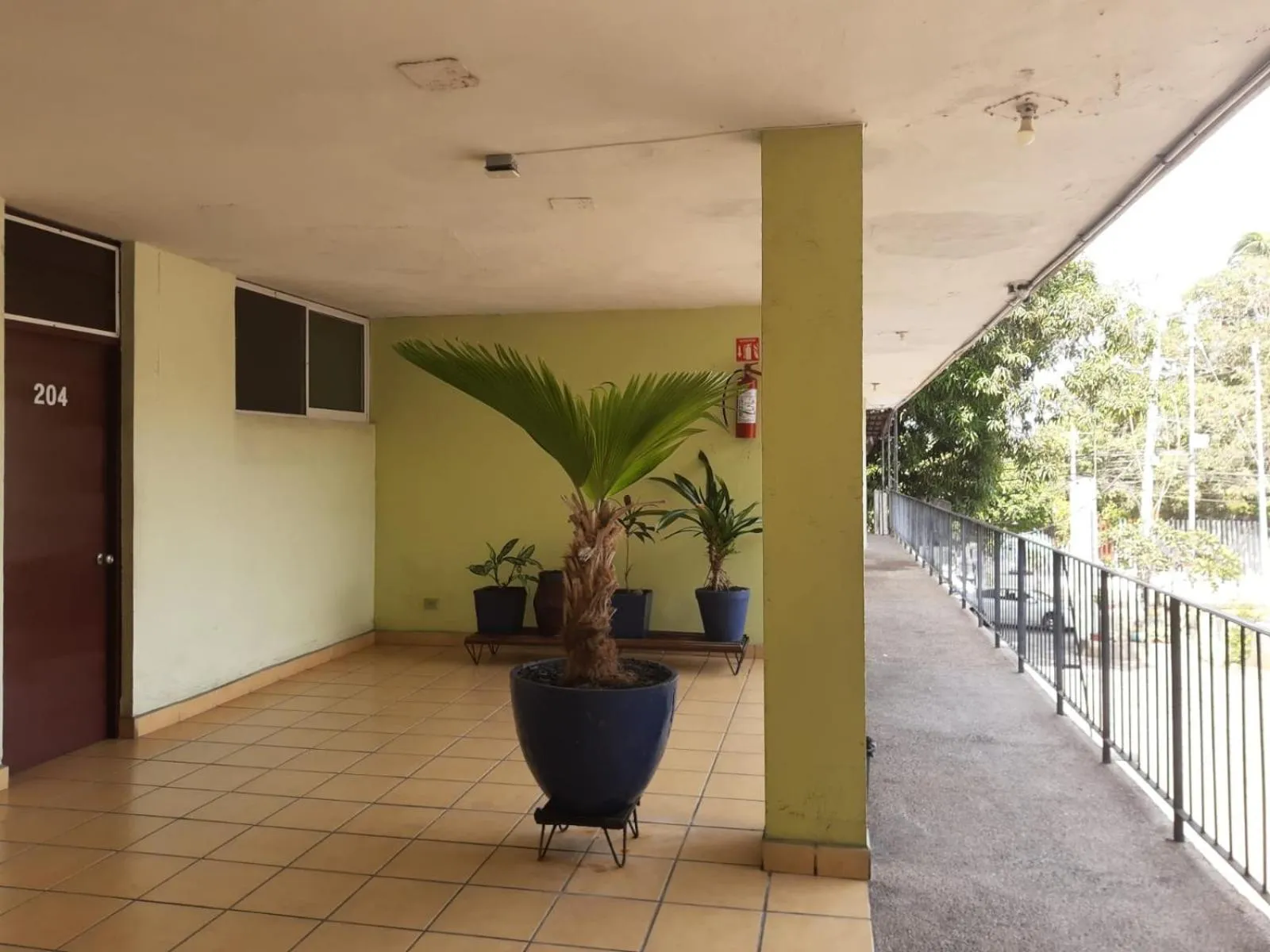 Property building in Hotel Avenida