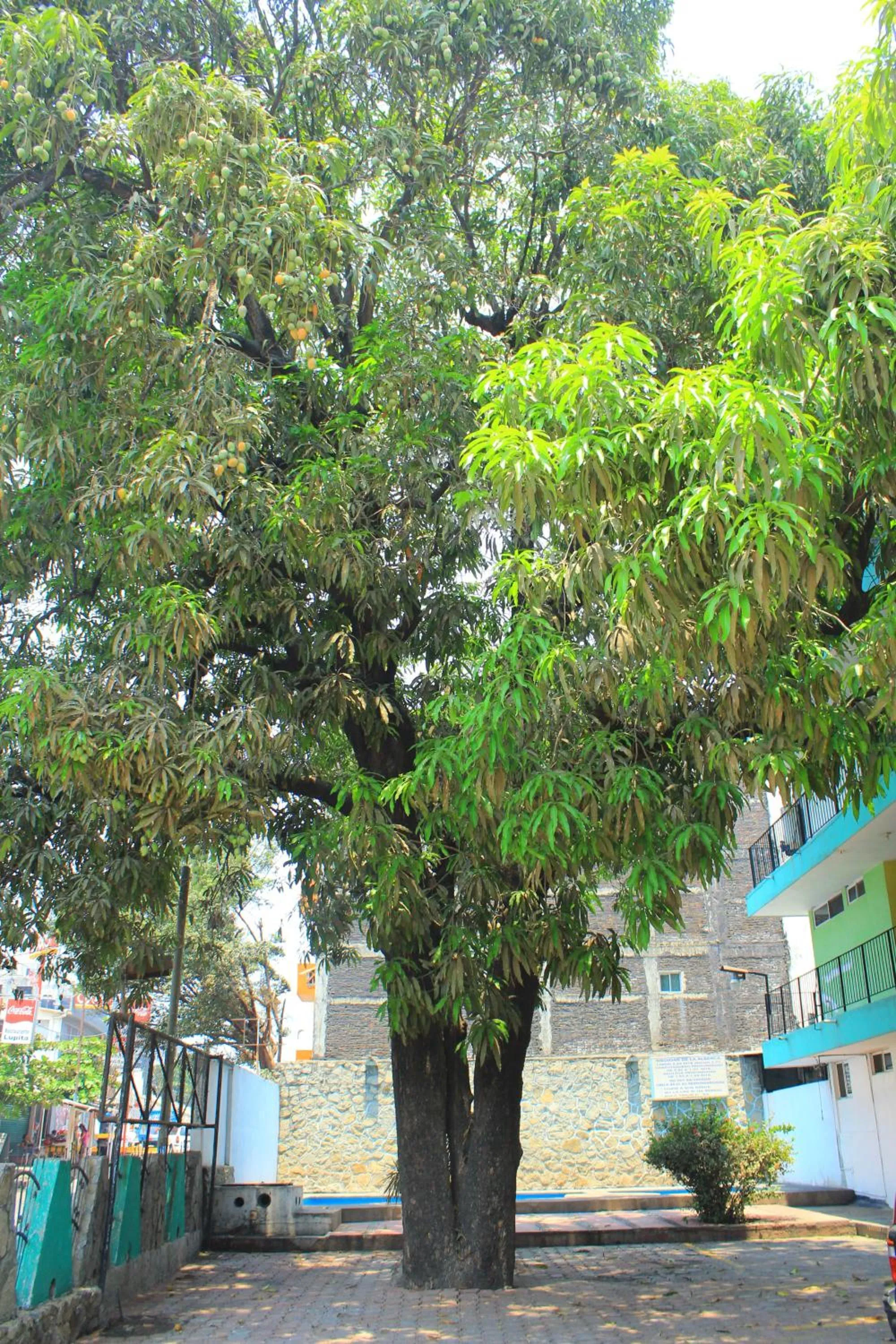 Property building in Hotel Avenida