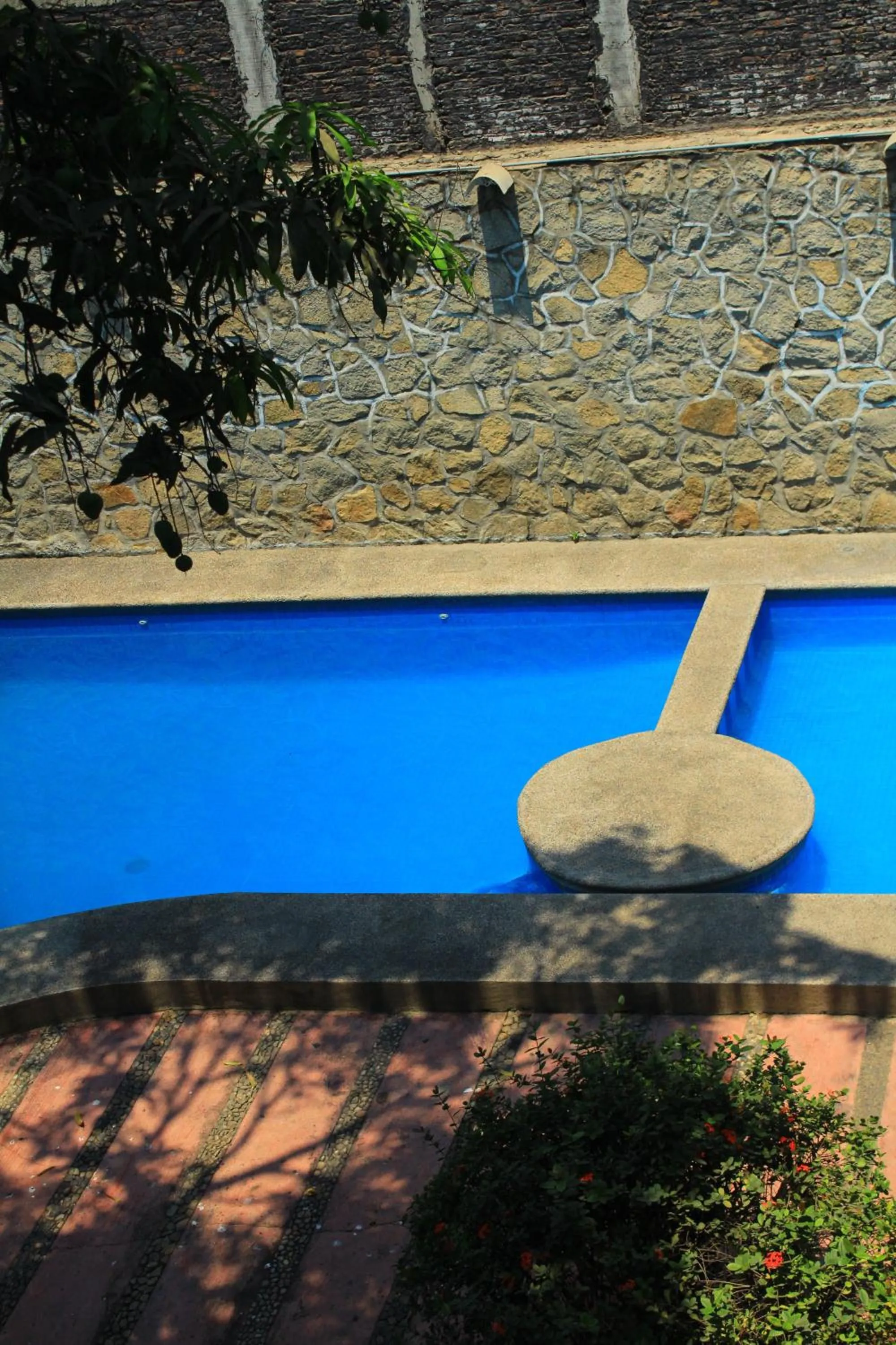 Pool view in Hotel Avenida