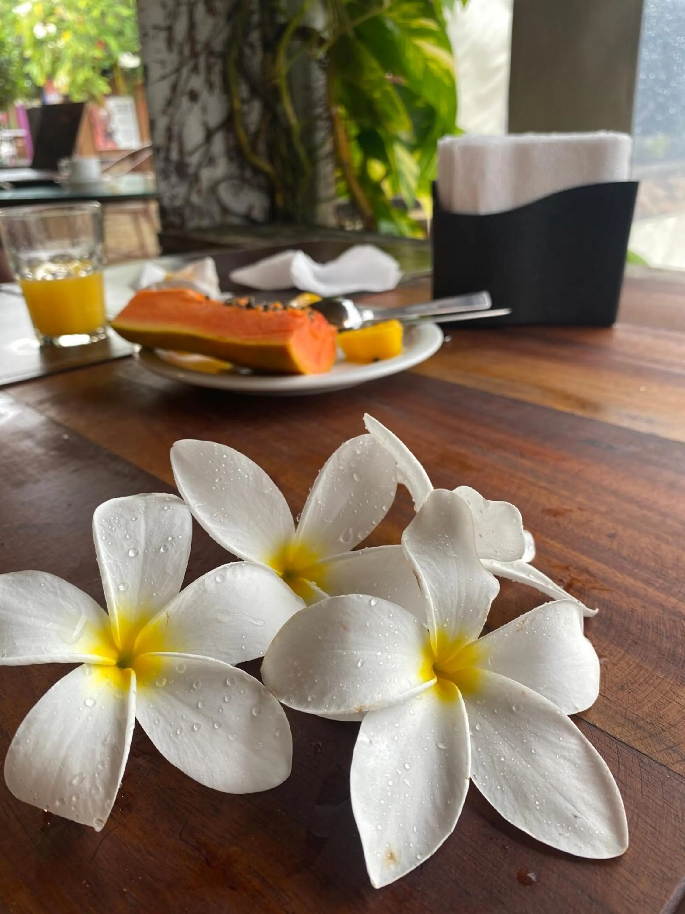 Spring in Posada 21 Oranges