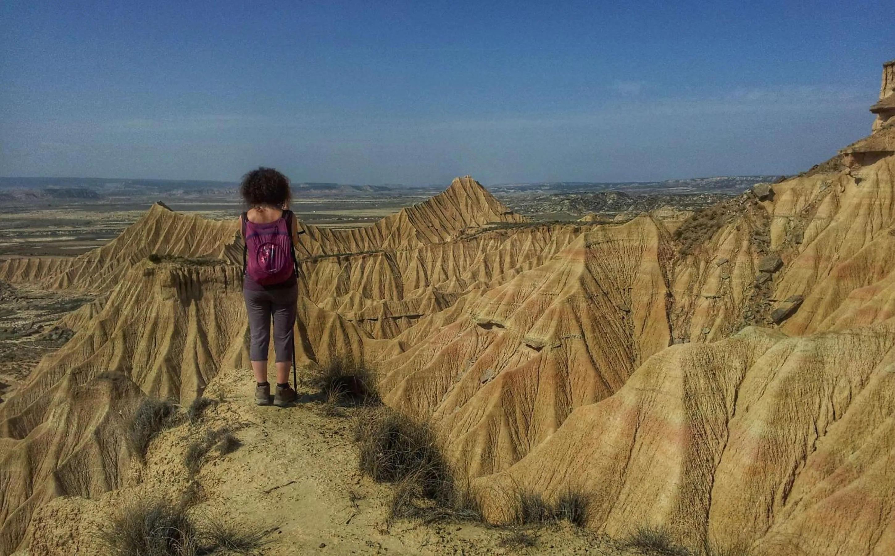 Natural landscape in Agroturismo "La Bardena Blanca II"