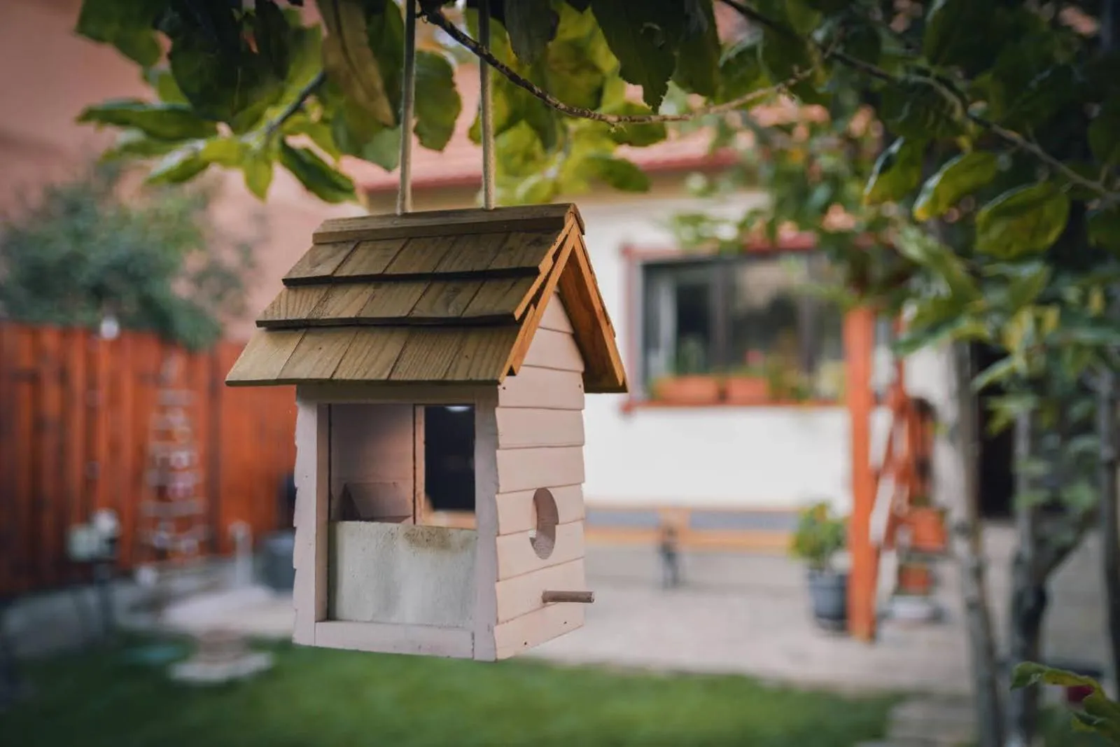 Garden view in Zozo Hostel