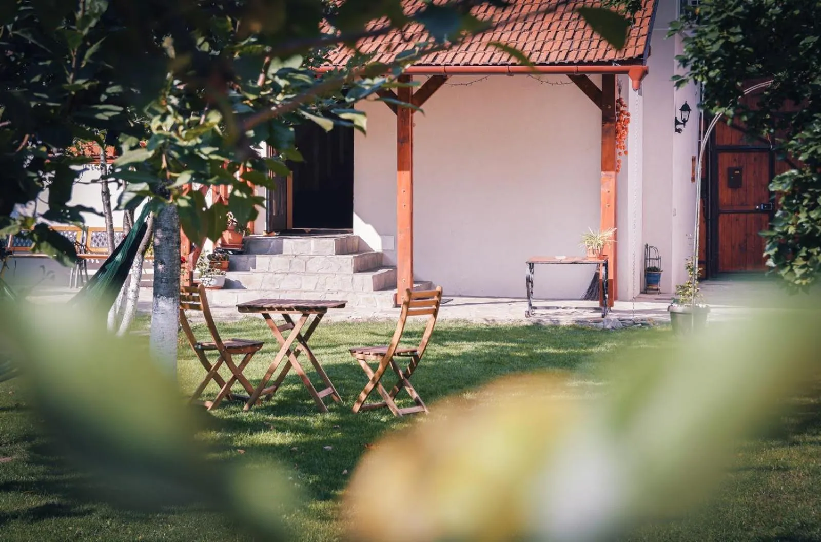 Garden view in Zozo Hostel