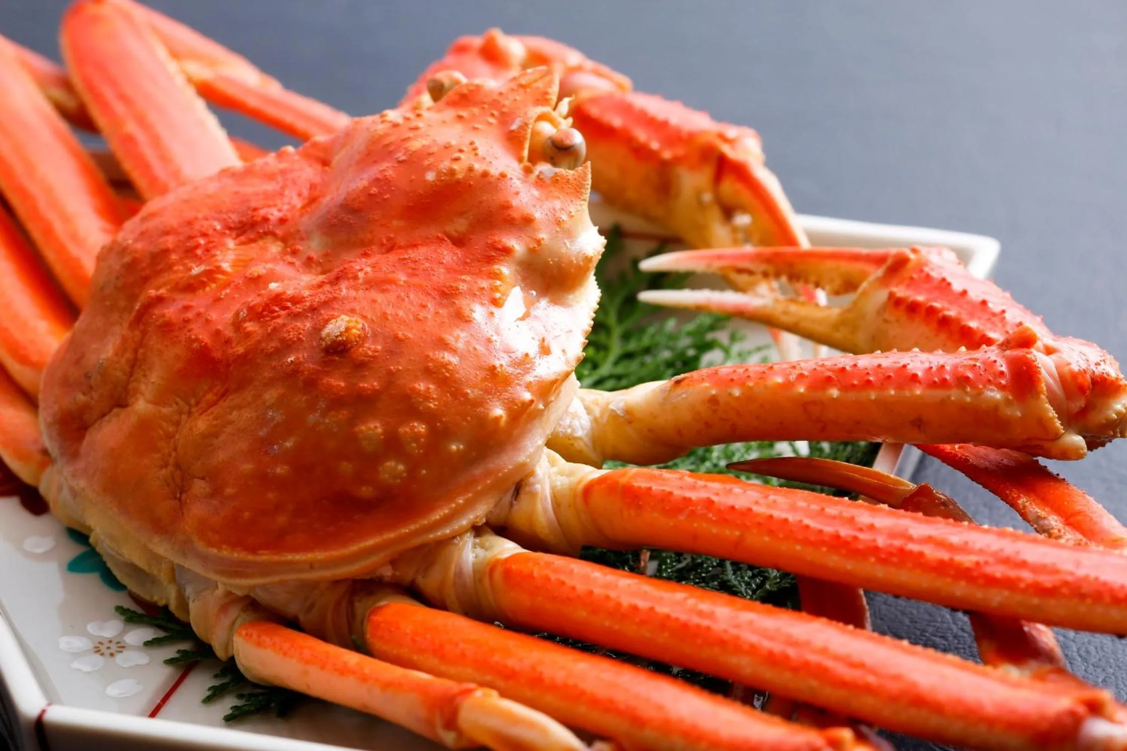 Dinner in Amanohashidateso