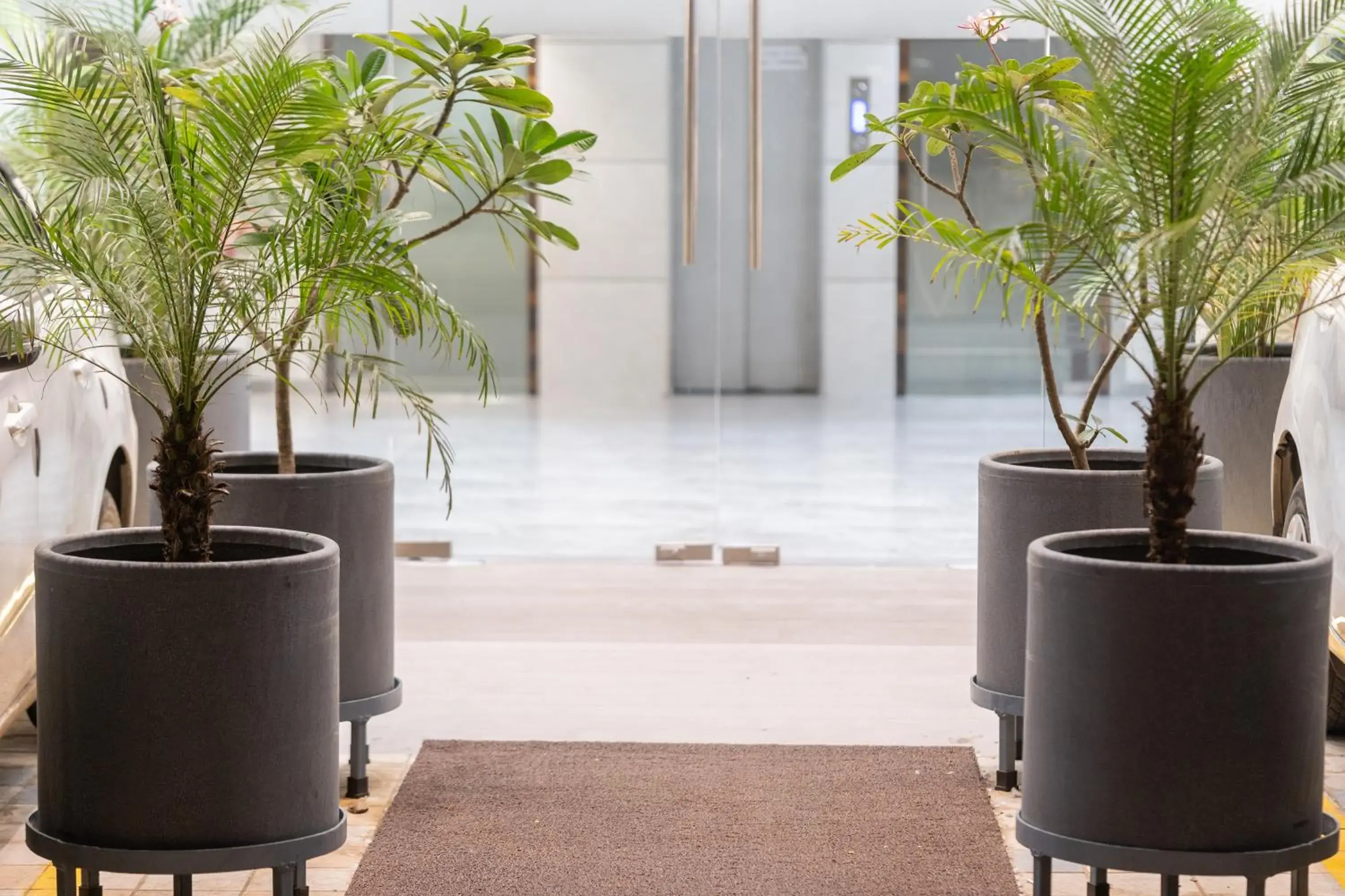 Garden view in Hotel Summit Garden view in Hotel Summit