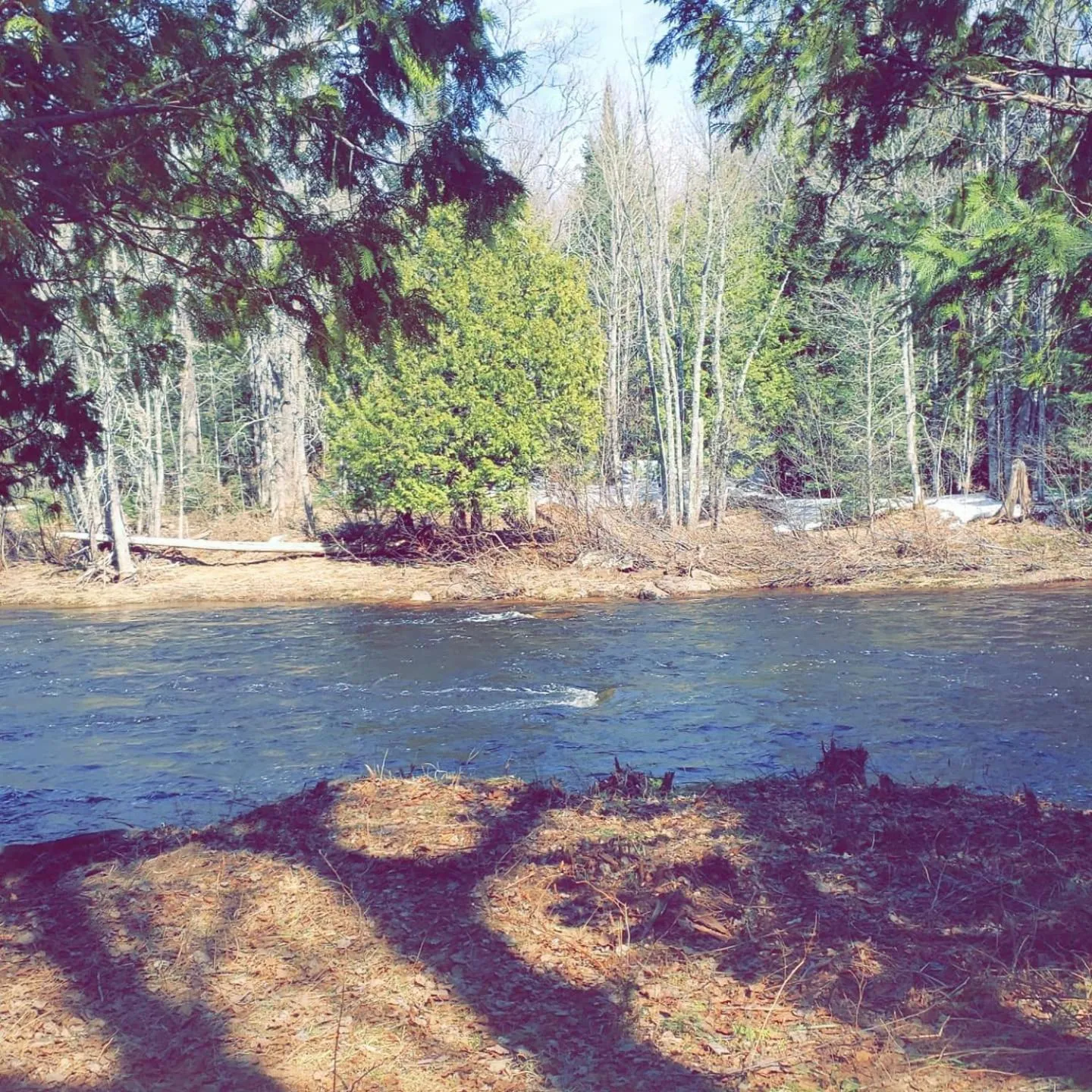 Property building in North Ironwood Acres - Black River Lodge