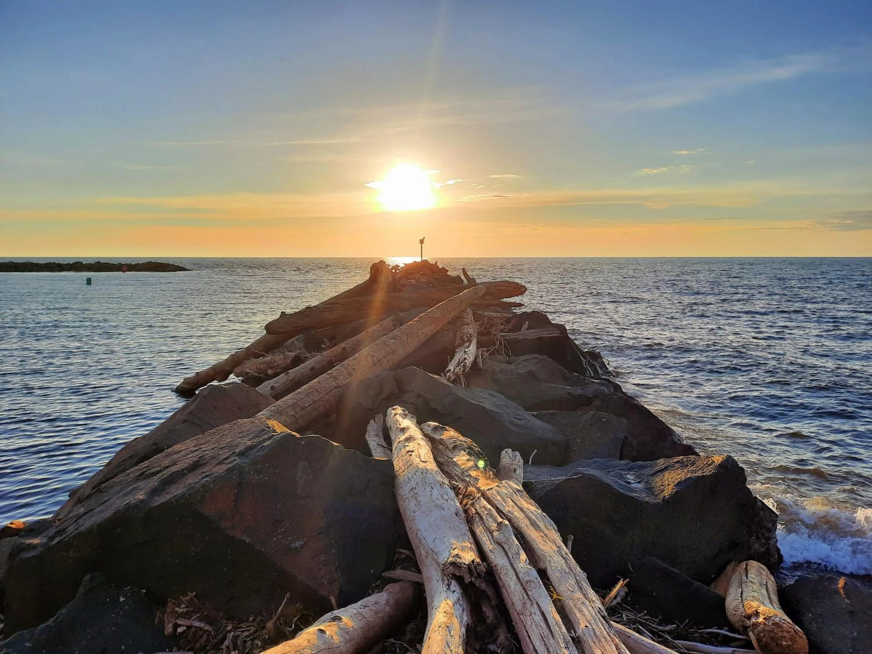Natural landscape in North Ironwood Acres - Black River Lodge