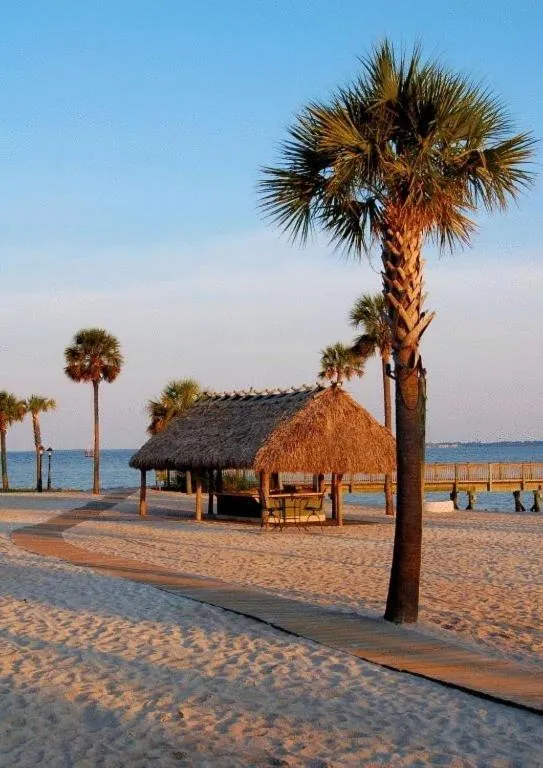 Beach in Harborside at Charleston Harbor Resort and Marina