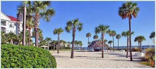 Beach in Harborside at Charleston Harbor Resort and Marina
