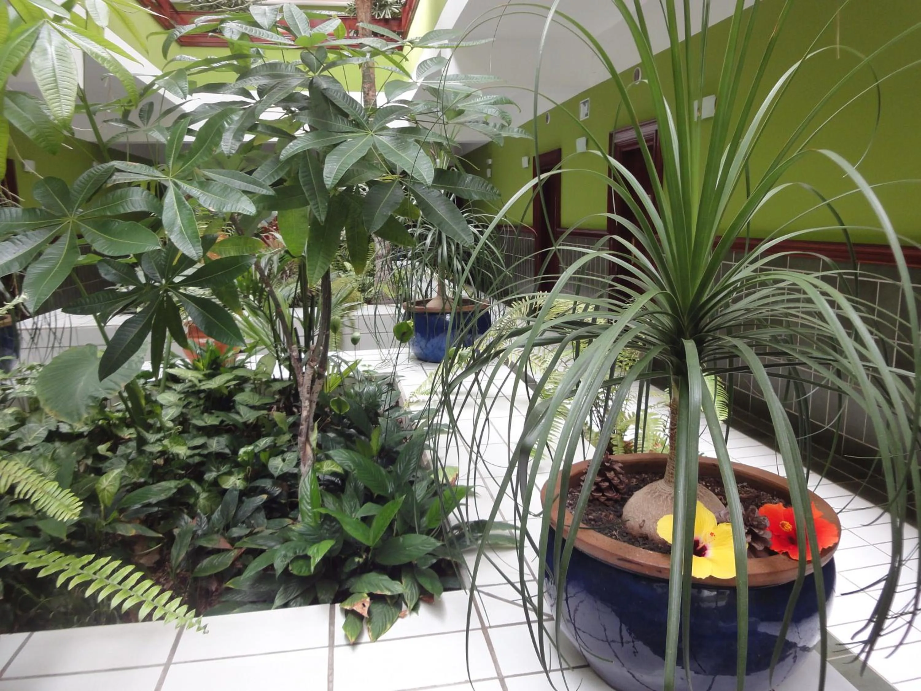 Decorative detail in Balneario Pozo de la Salud