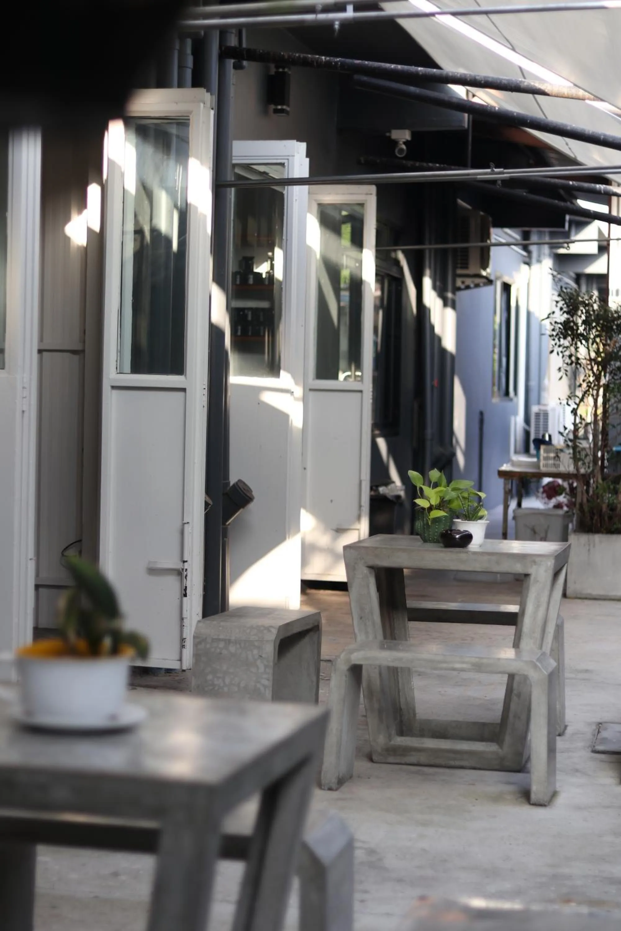 Blu Monkey Hotel Surat Thani