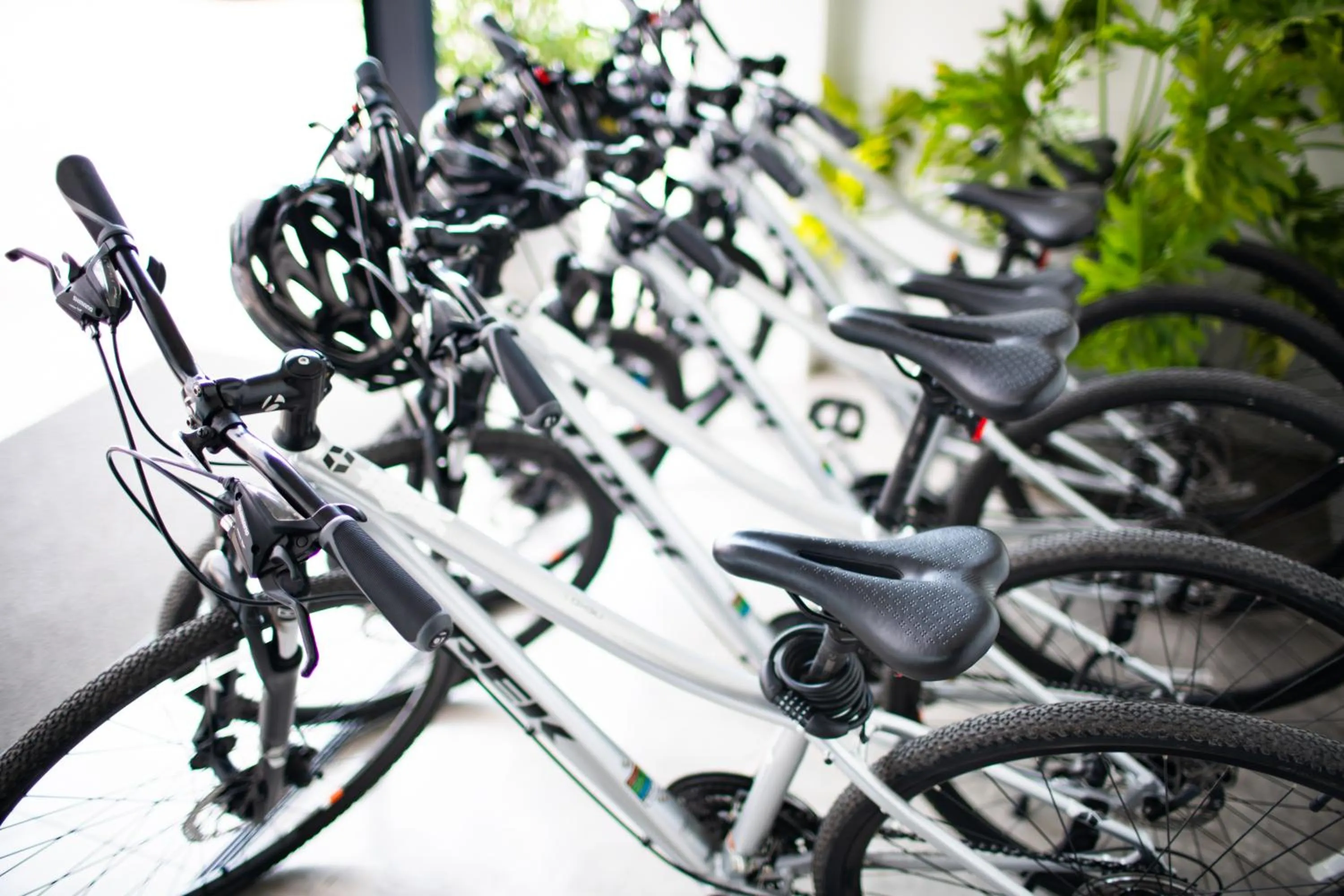 Blu Monkey Hotel Surat Thani