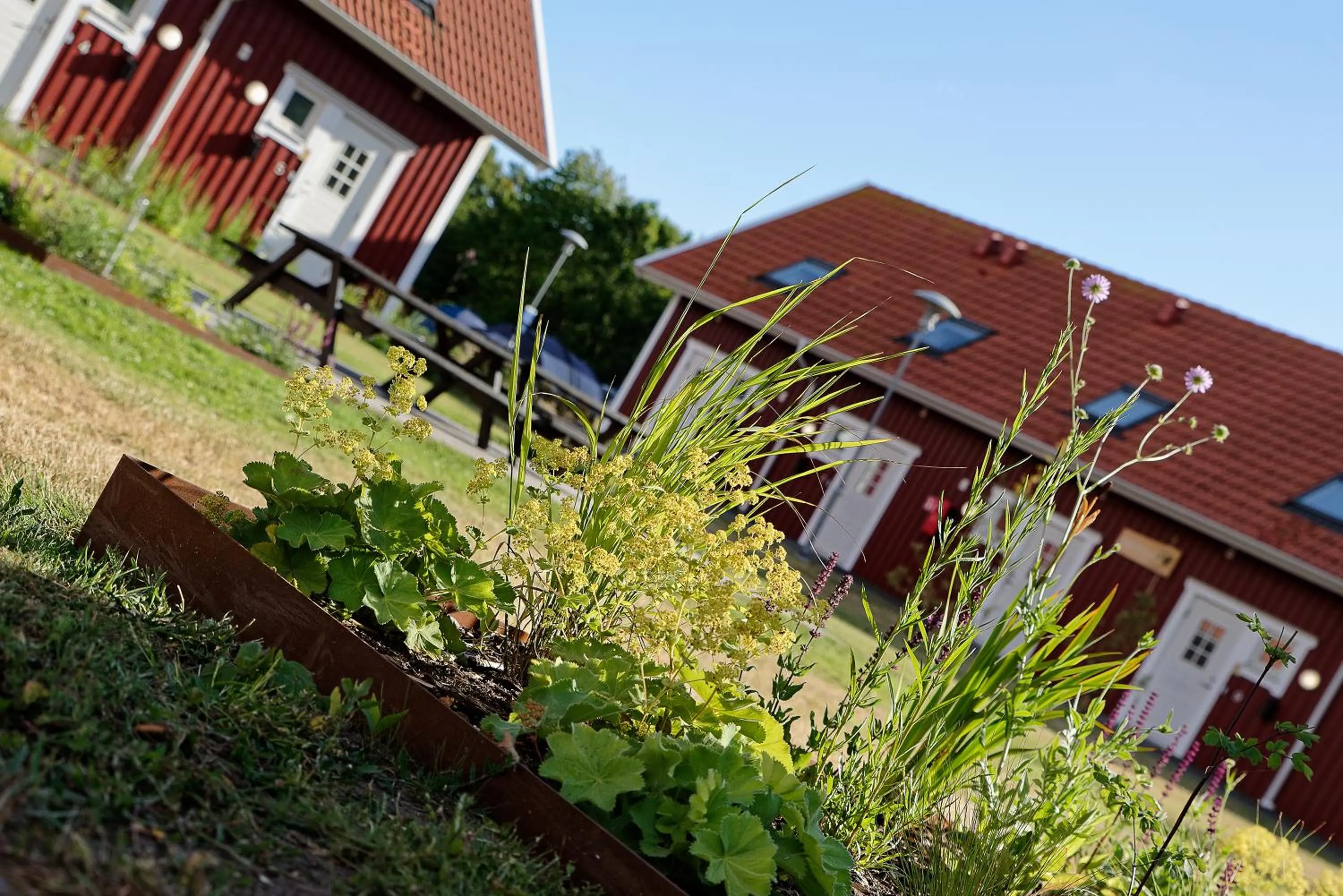 Apelviken Lägenhetshotell