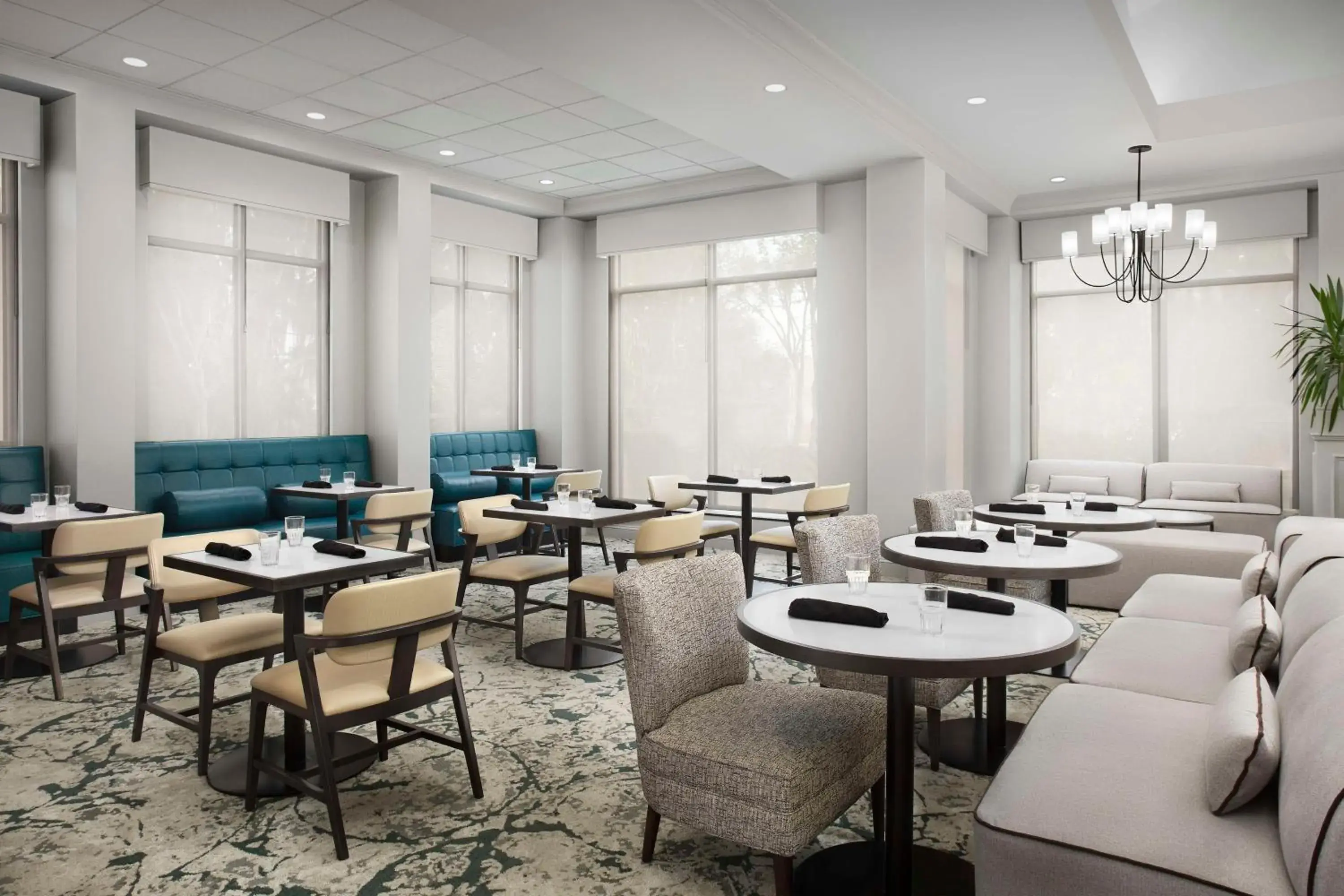 Restaurant/places to eat in Hilton Garden Inn Gainesville Restaurant/places to eat in Hilton Garden Inn Gainesville