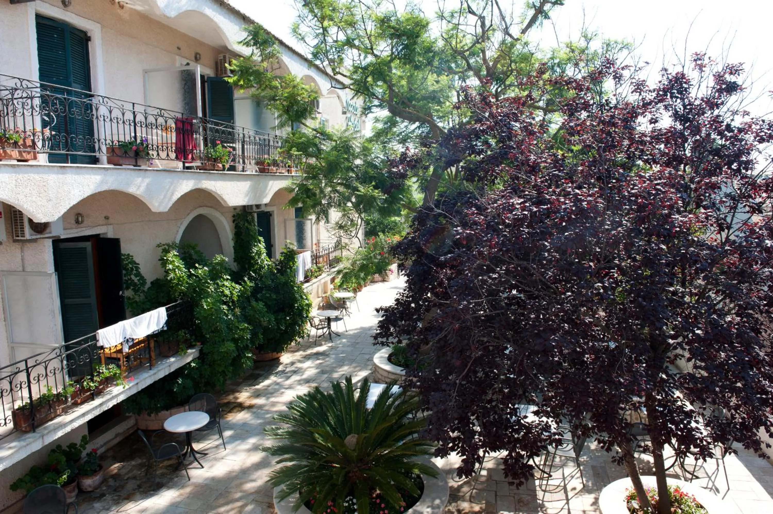 Garden in Marie Hotel